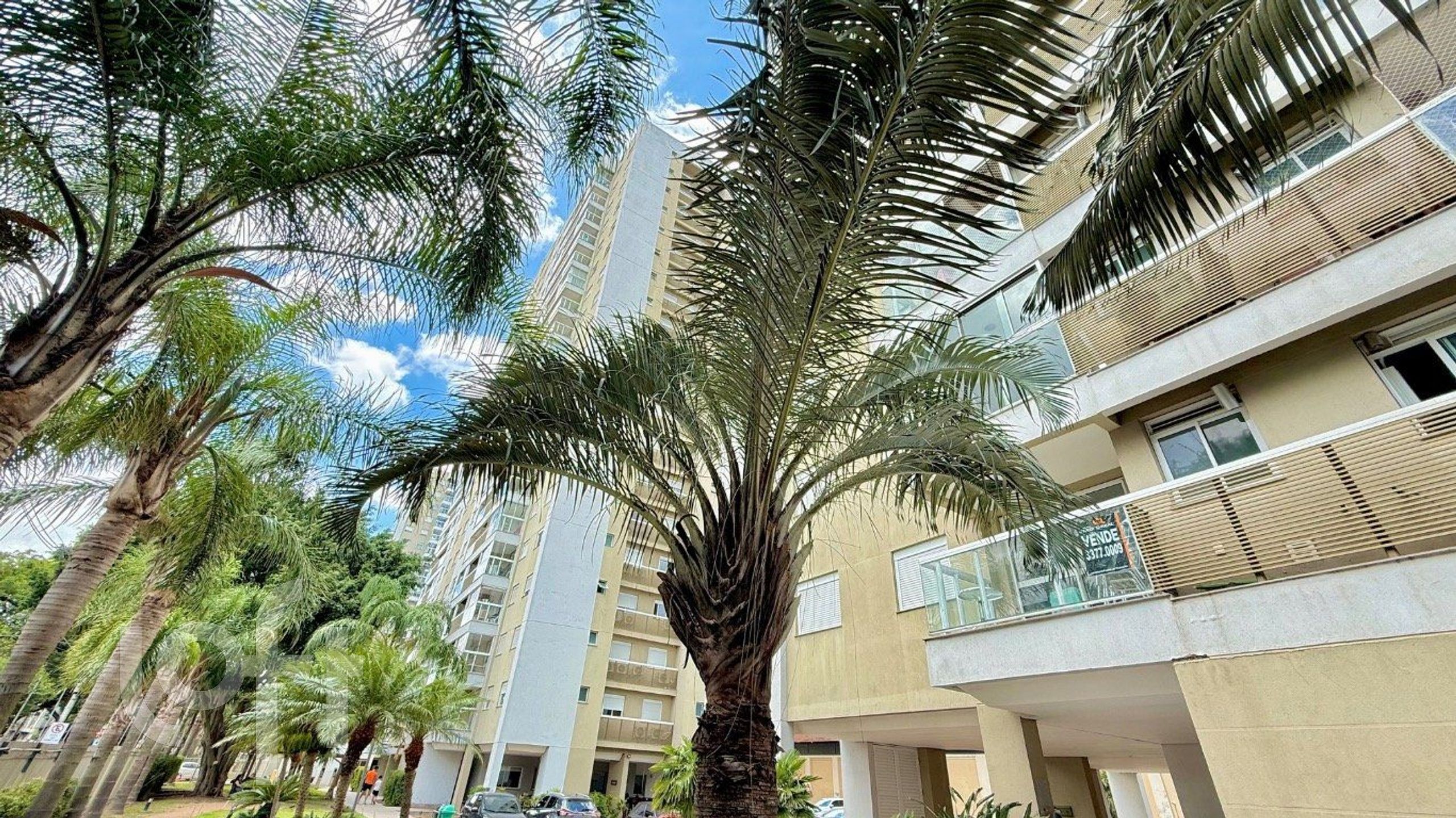 Imagem da propriedade 35