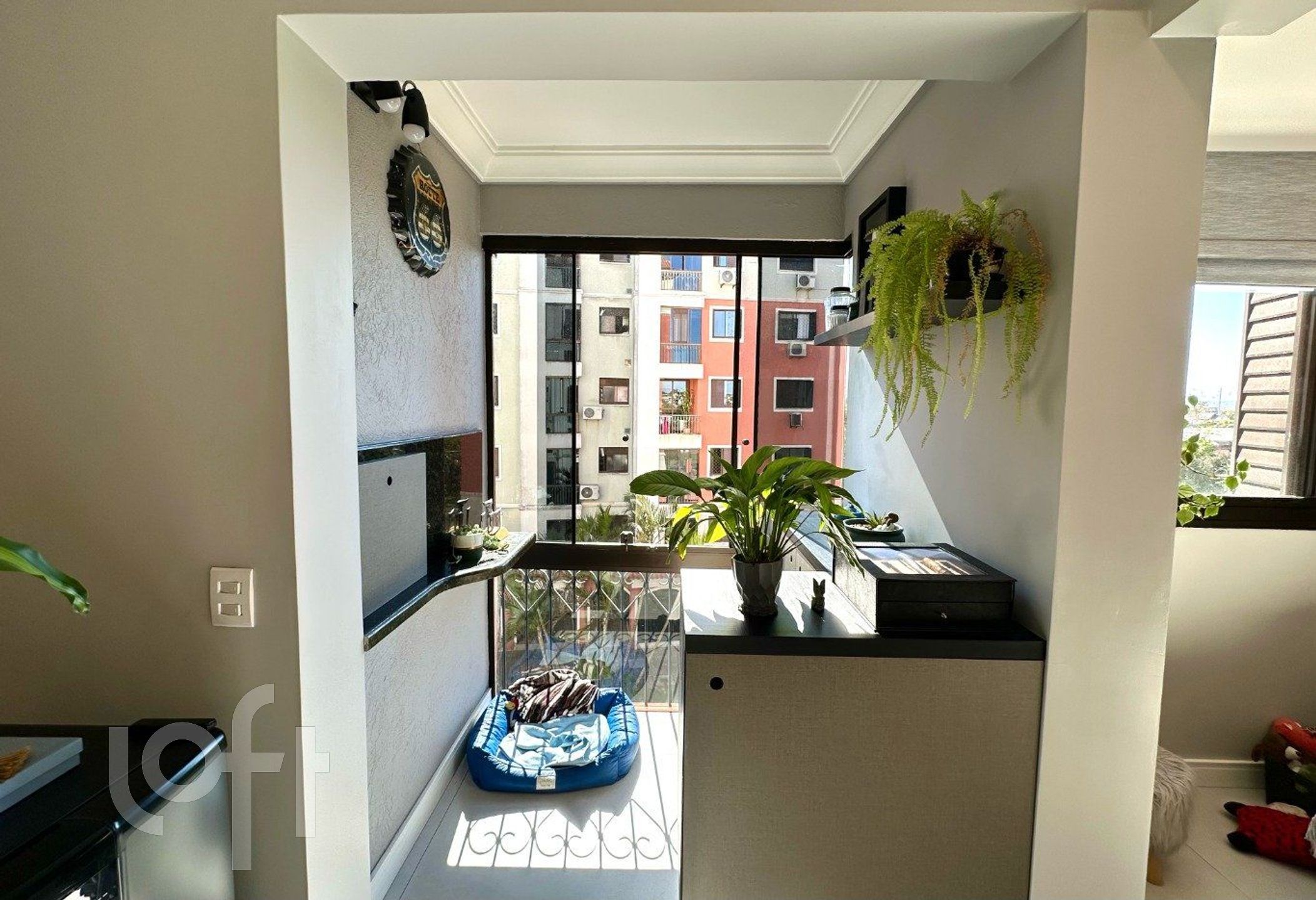 Imagem da propriedade 10