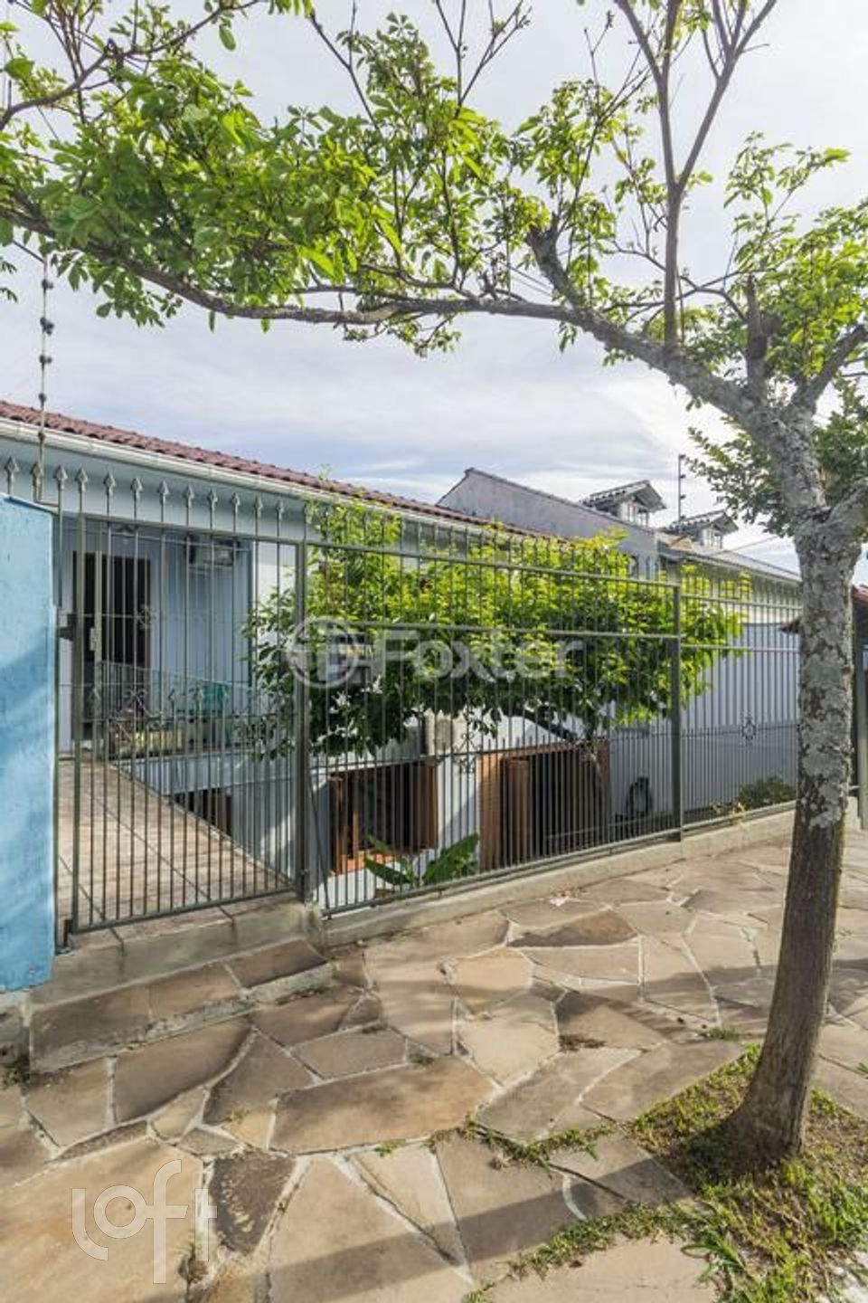 Imagem da propriedade 50