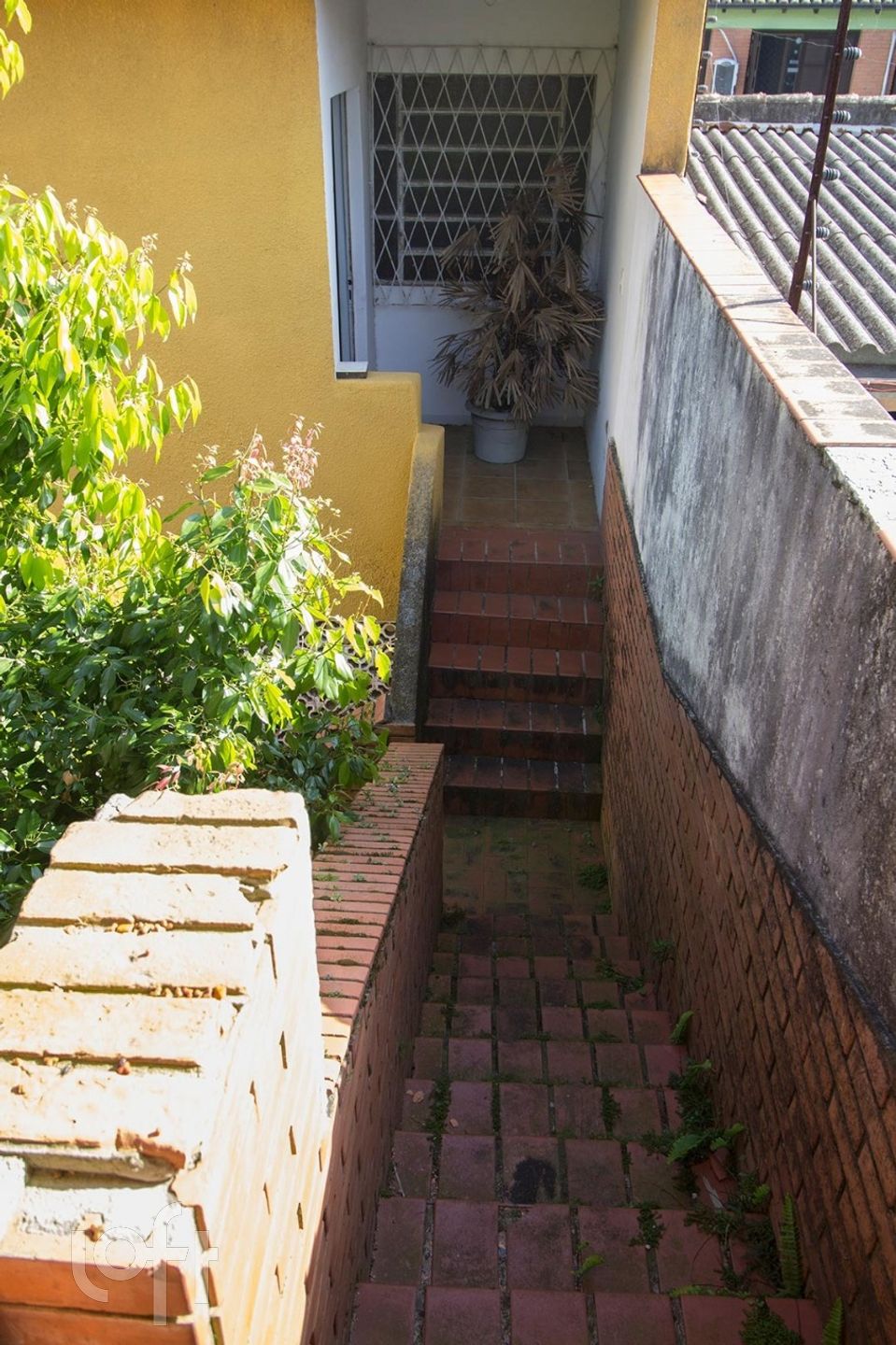 Imagem da propriedade 29