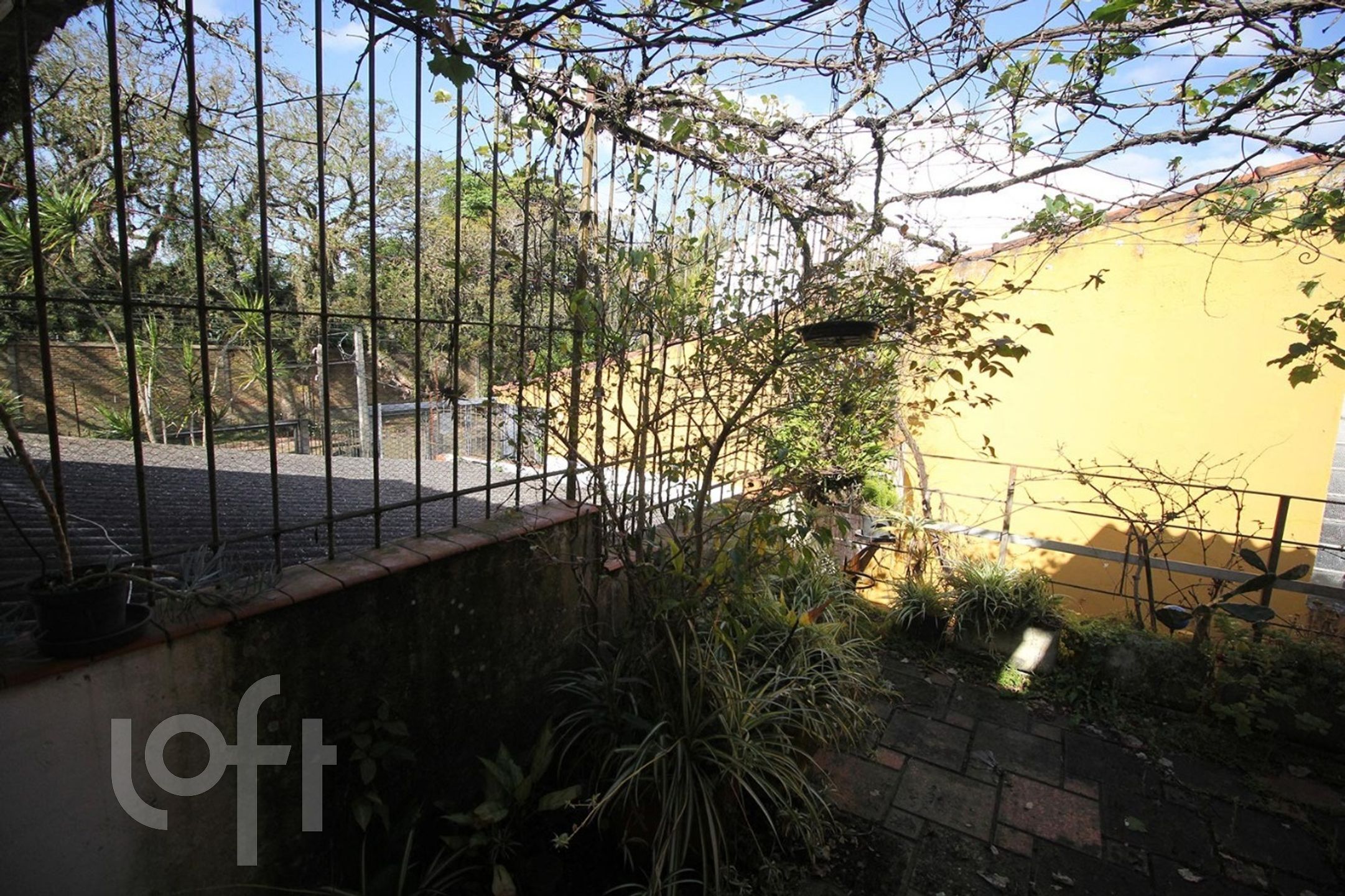 Imagem da propriedade 25