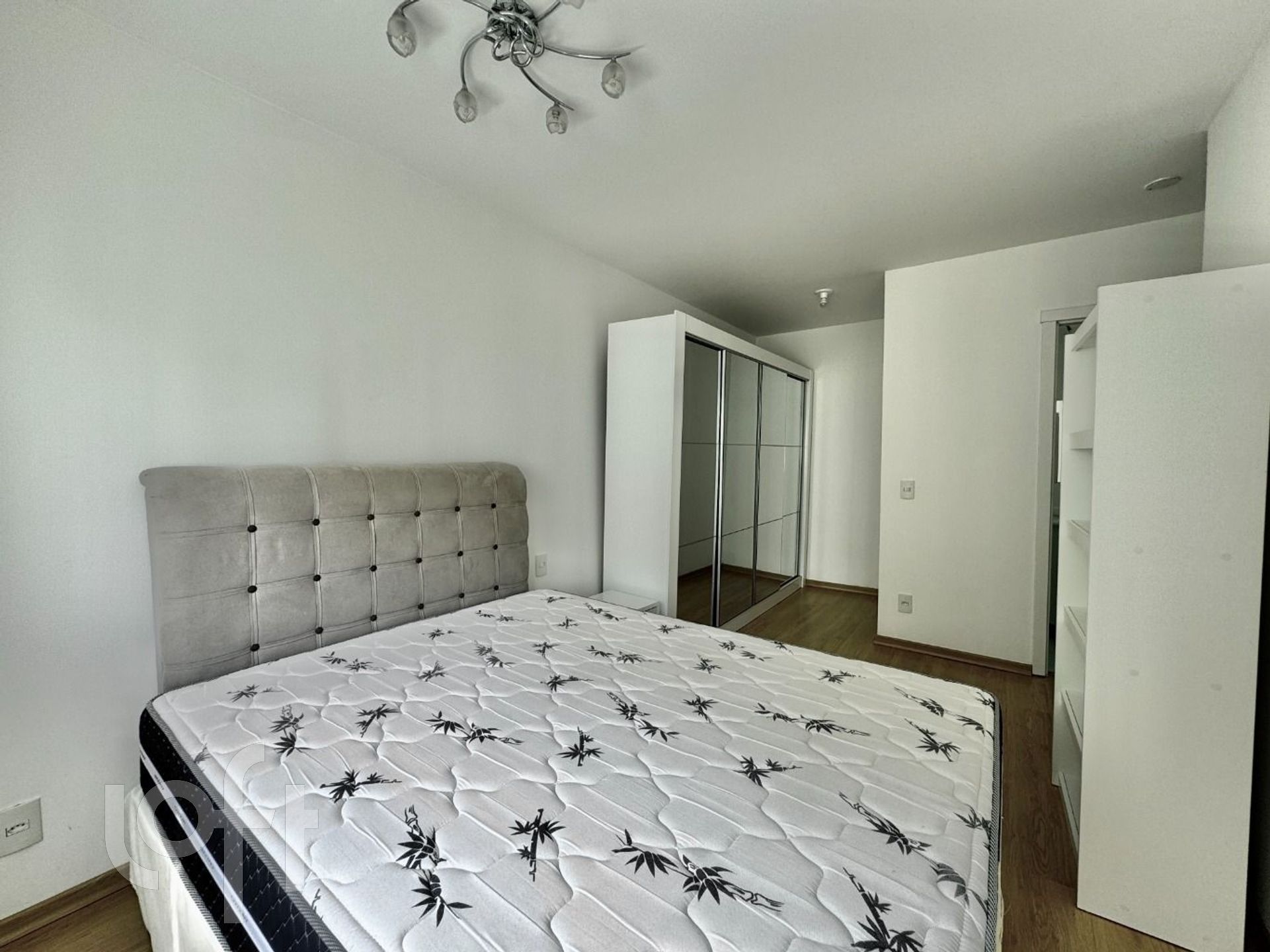 Imagem da propriedade 19