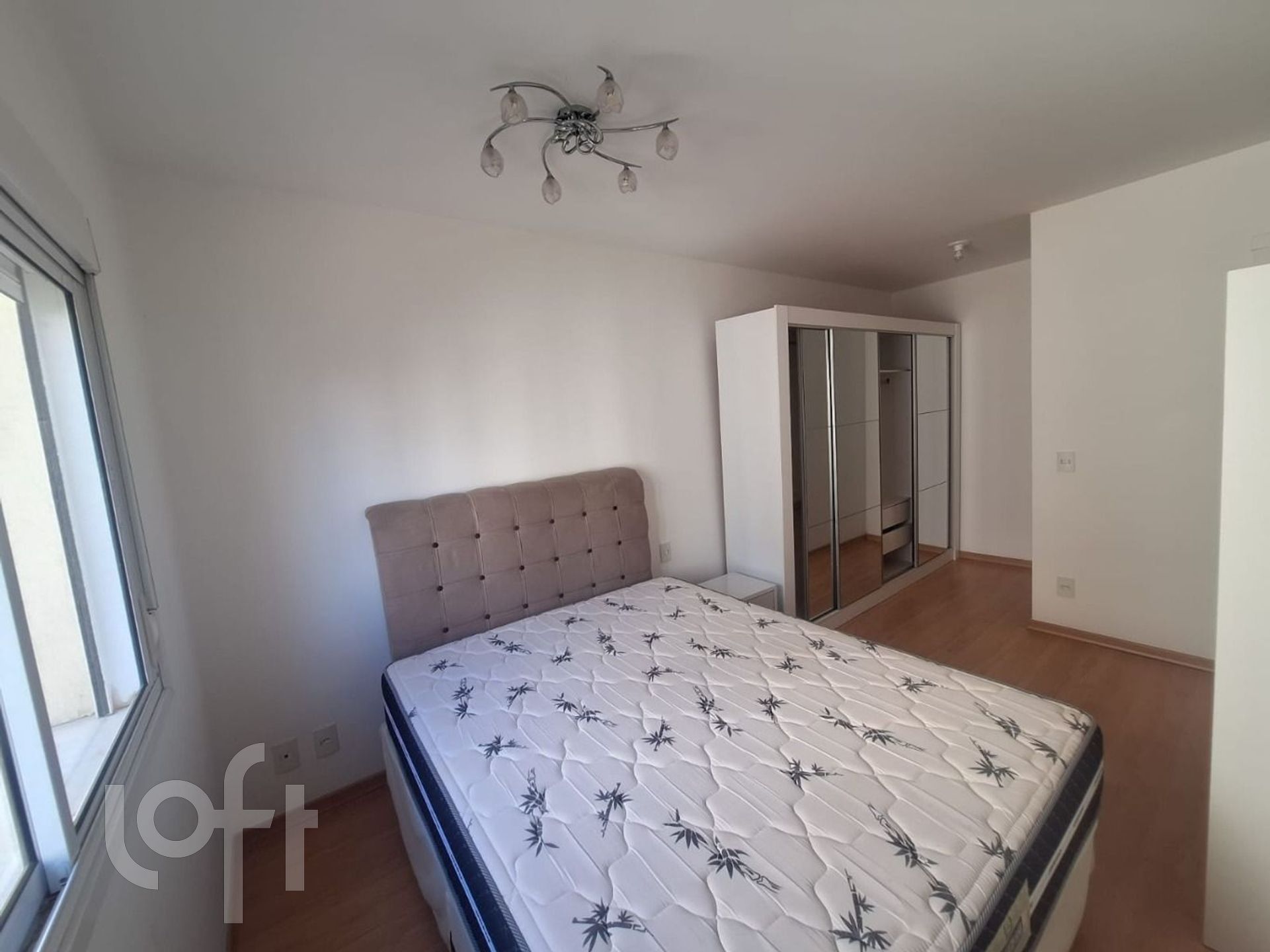 Imagem da propriedade 18