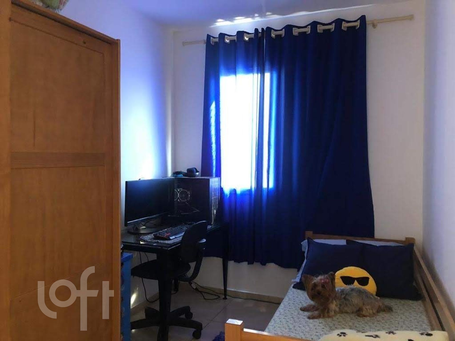 Imagem da propriedade 10