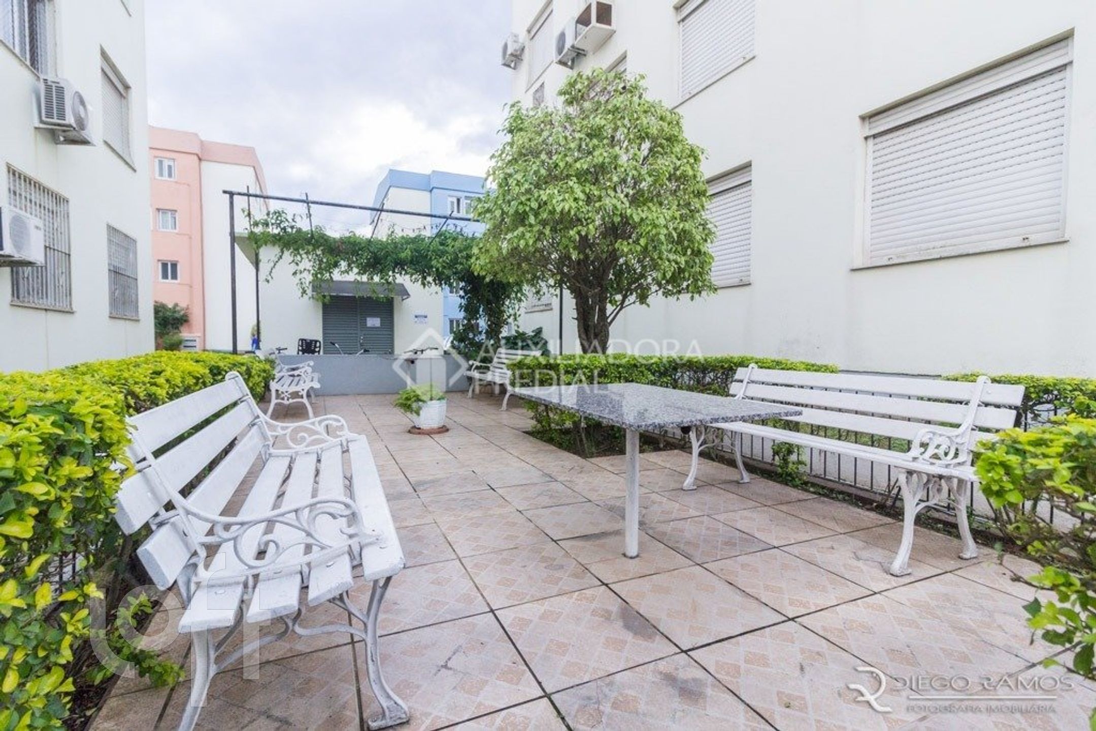 Imagem da propriedade 12