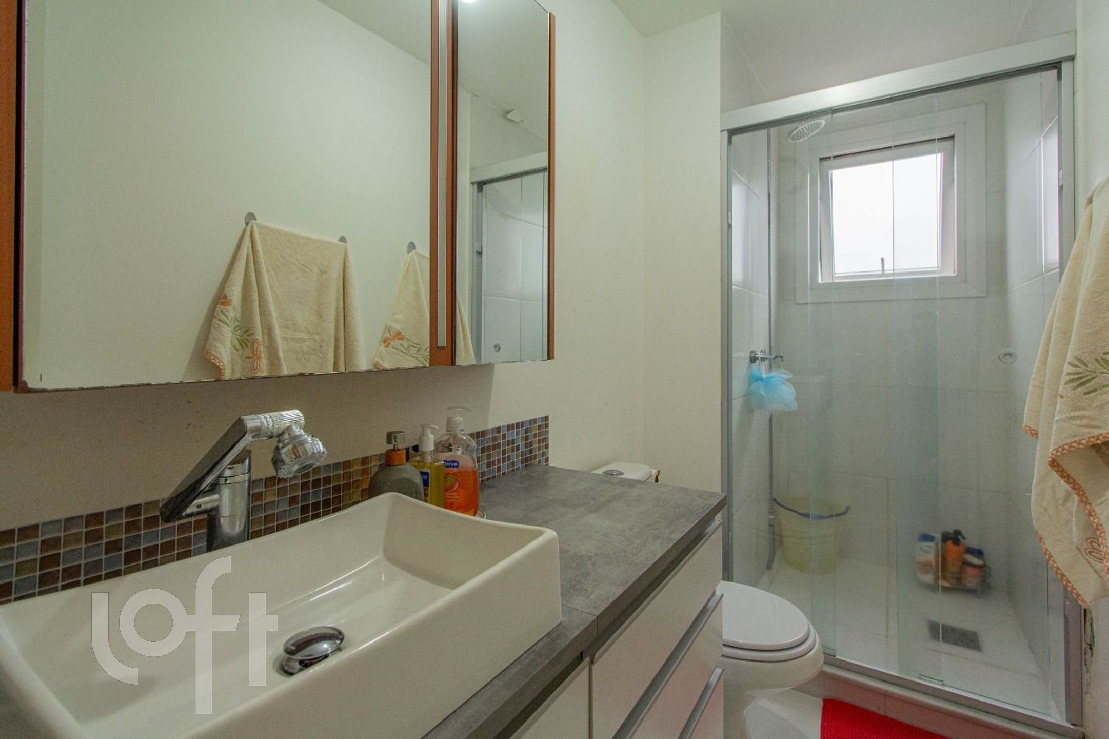 Imagem da propriedade 19