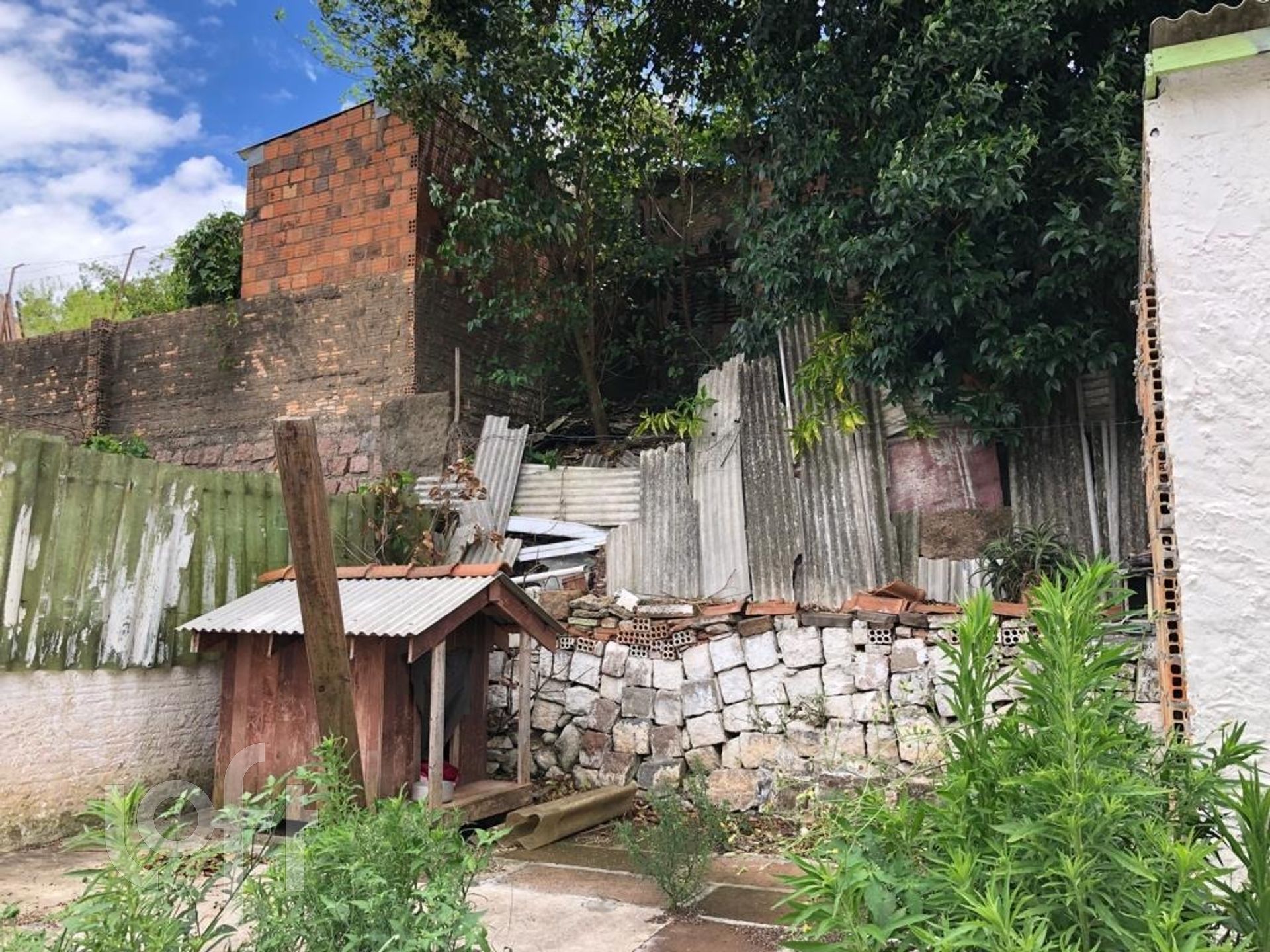 Imagem da propriedade 9