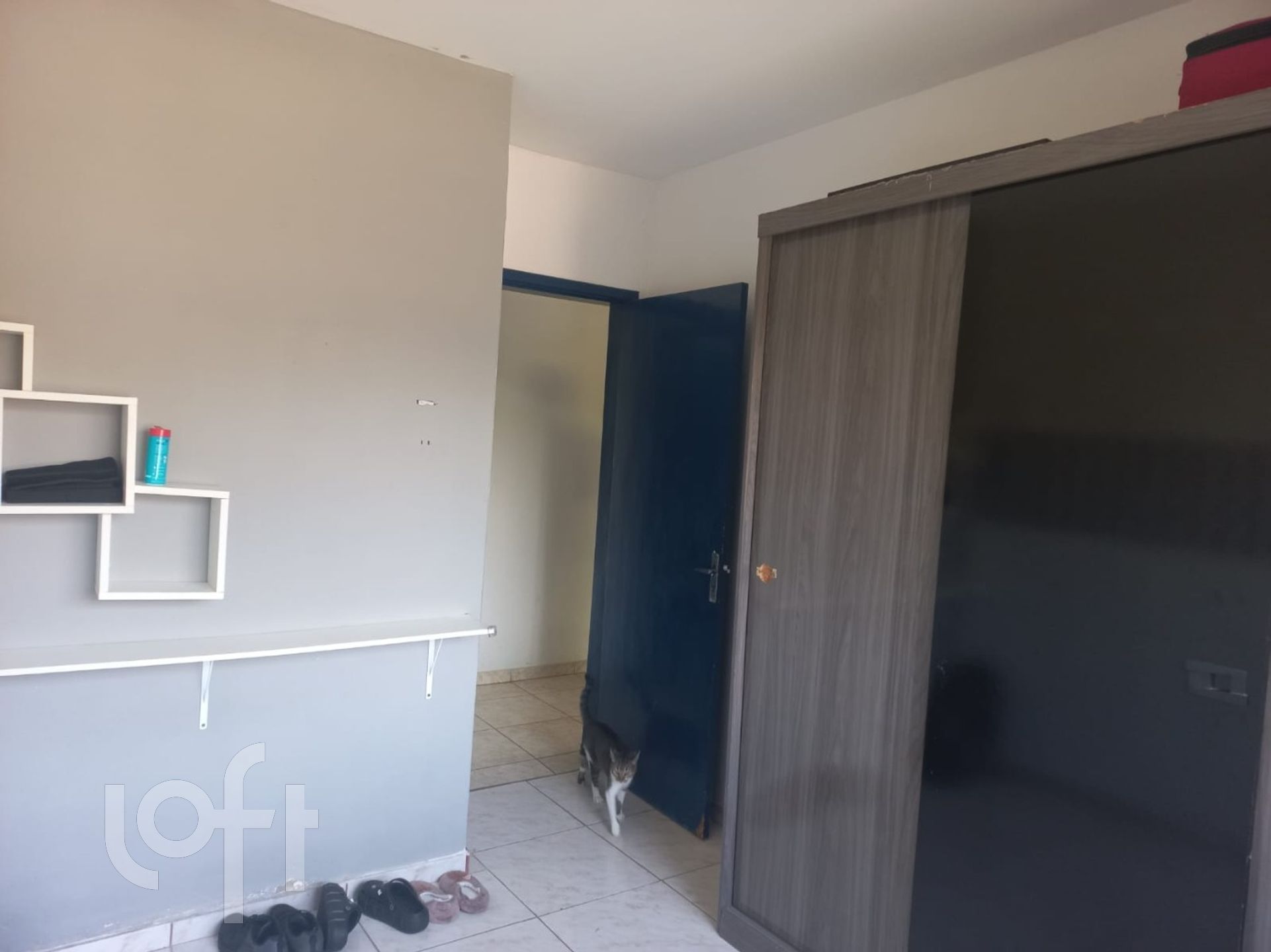 Imagem da propriedade 8