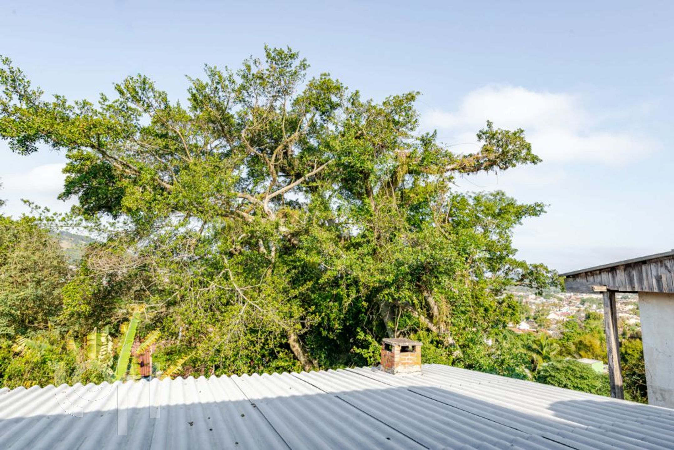 Imagem da propriedade 35