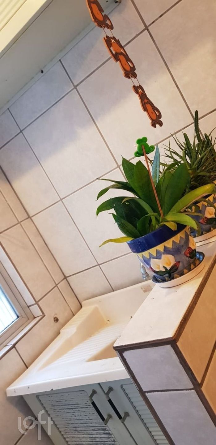 Imagem da propriedade 7