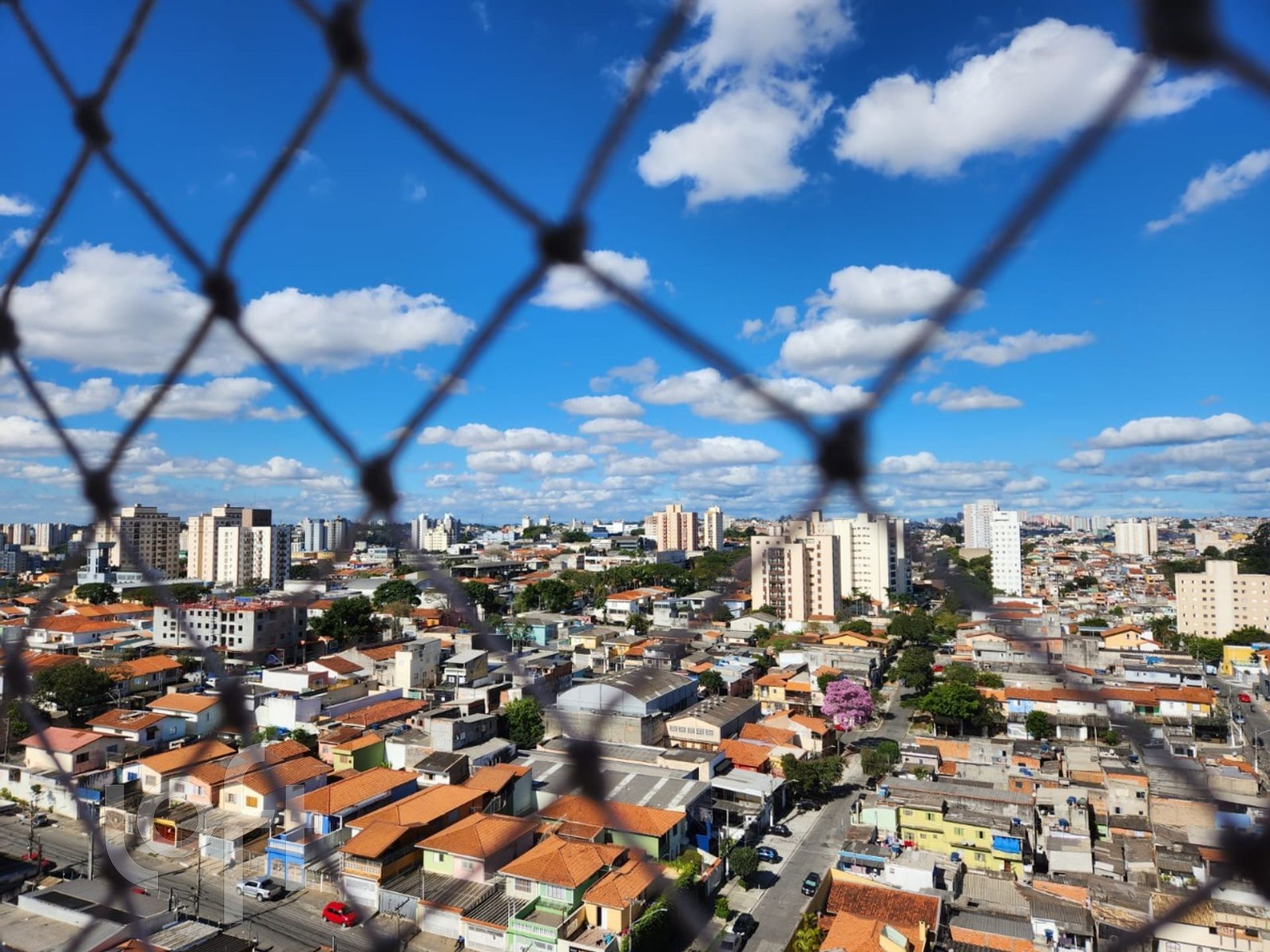 Imagem da propriedade 6