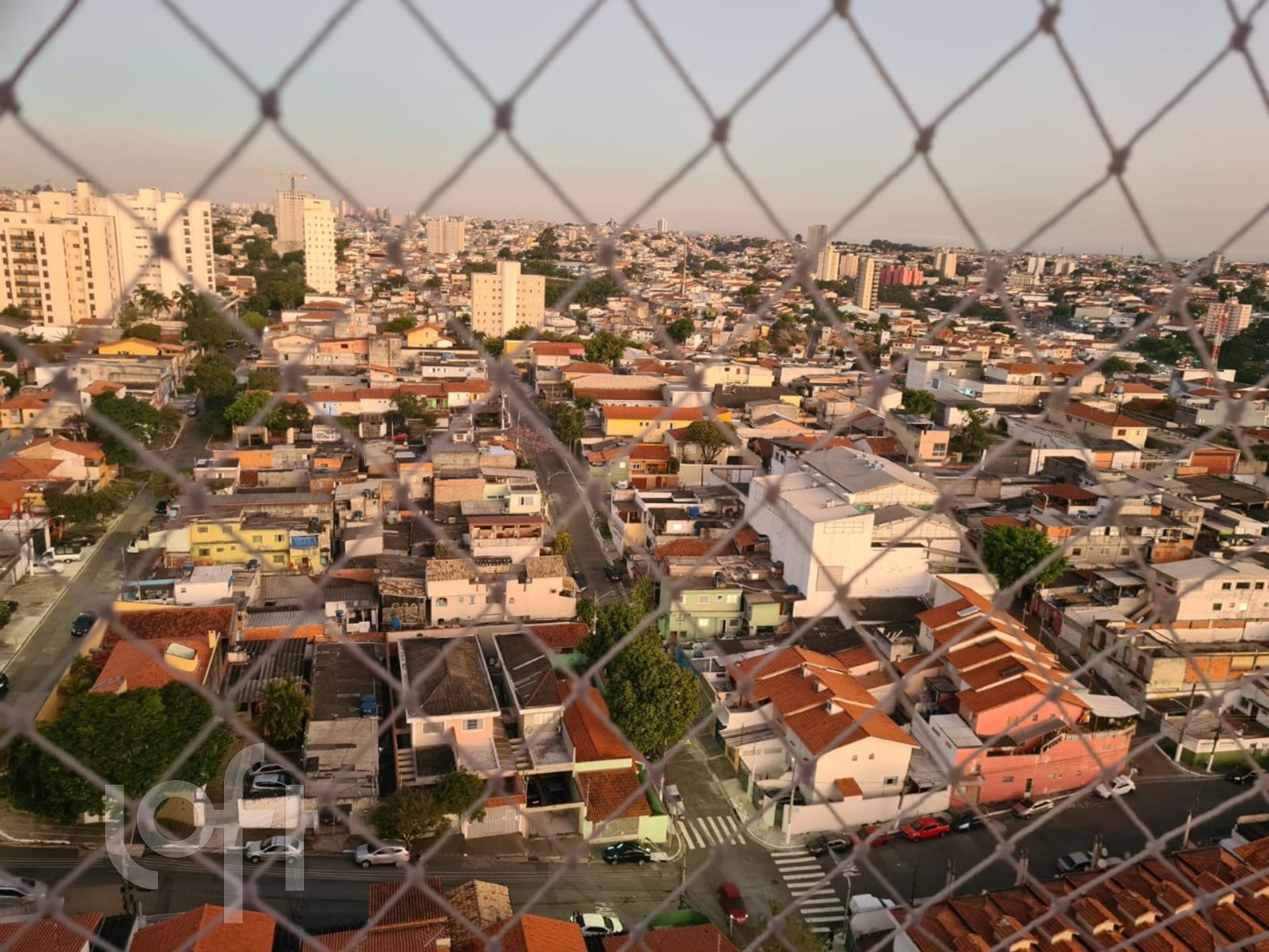 Imagem da propriedade 8