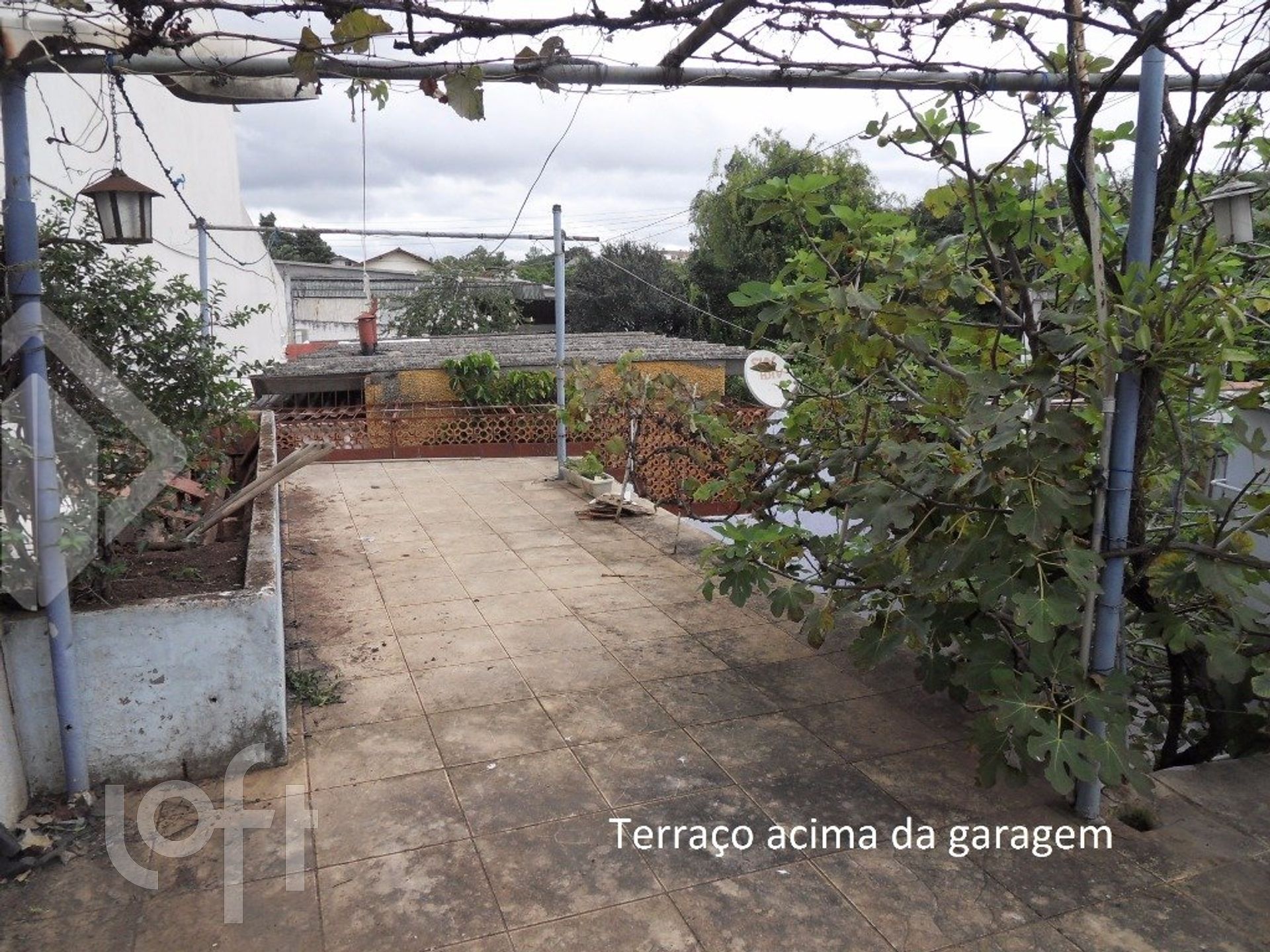 Imagem da propriedade 11