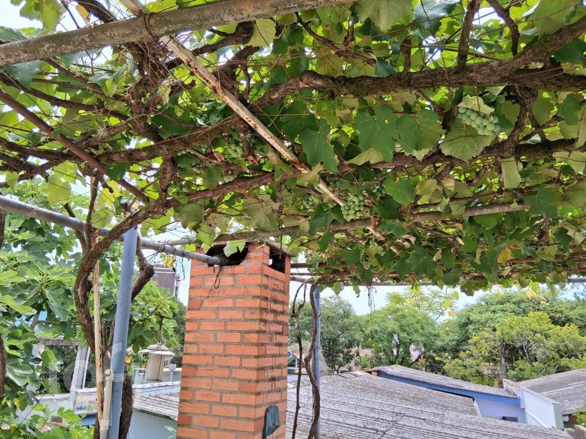 Imagem da propriedade 29