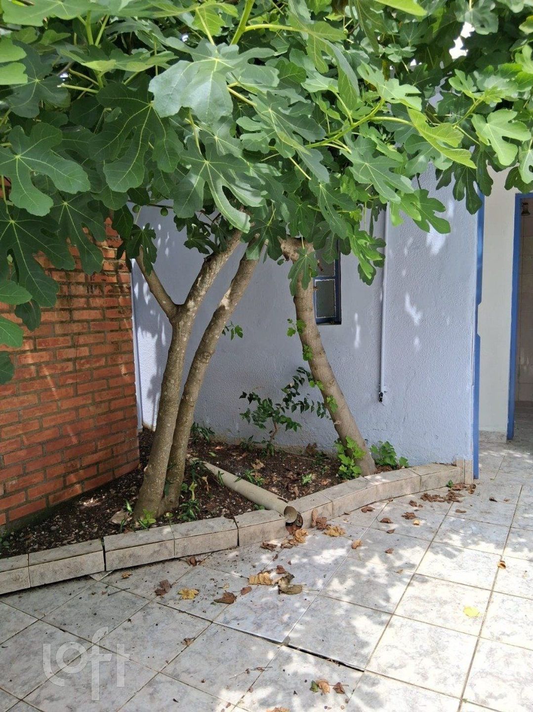 Imagem da propriedade 30