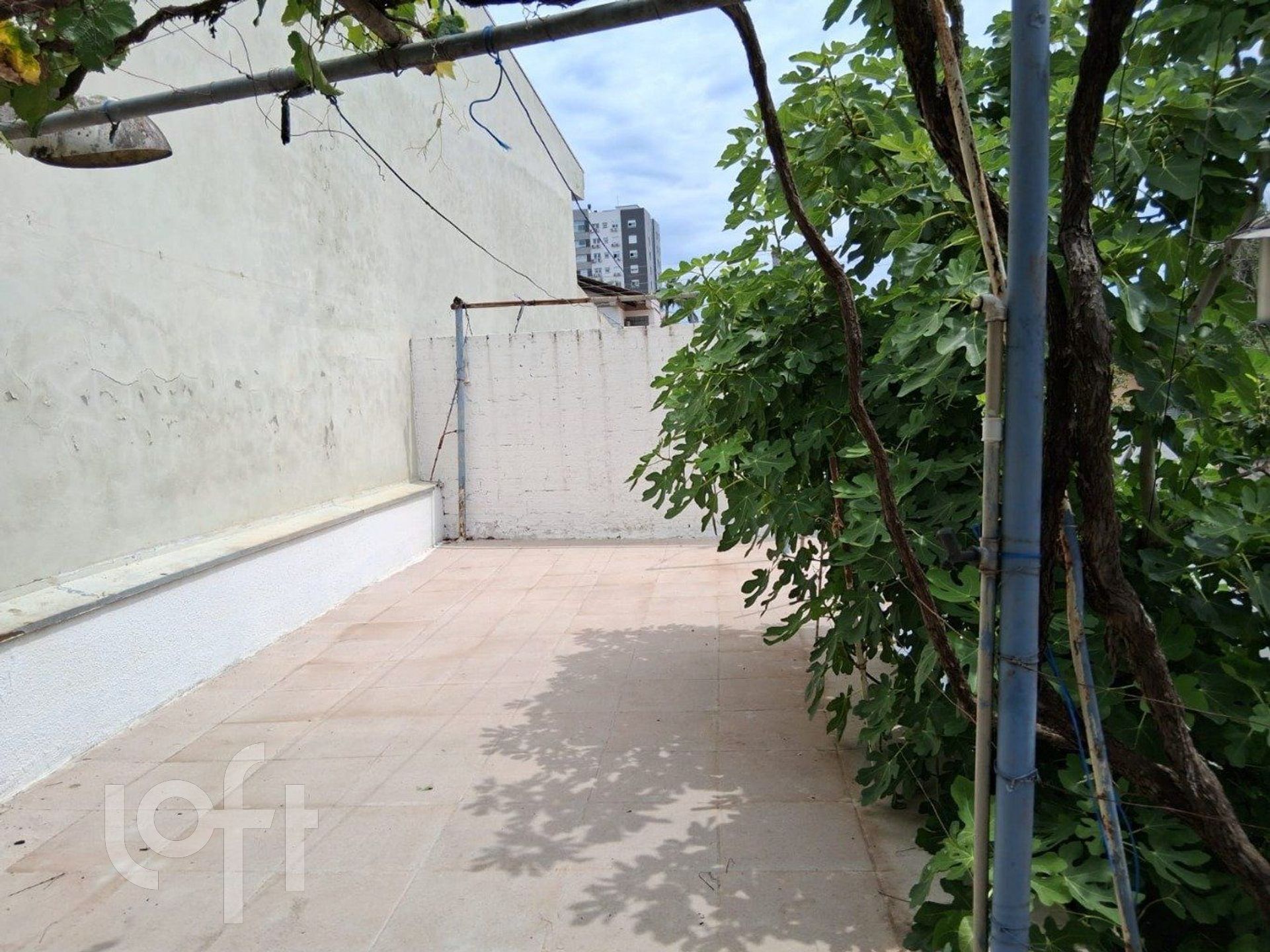 Imagem da propriedade 28