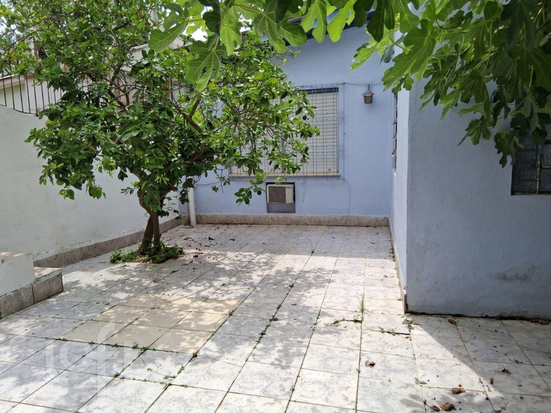 Imagem da propriedade 9