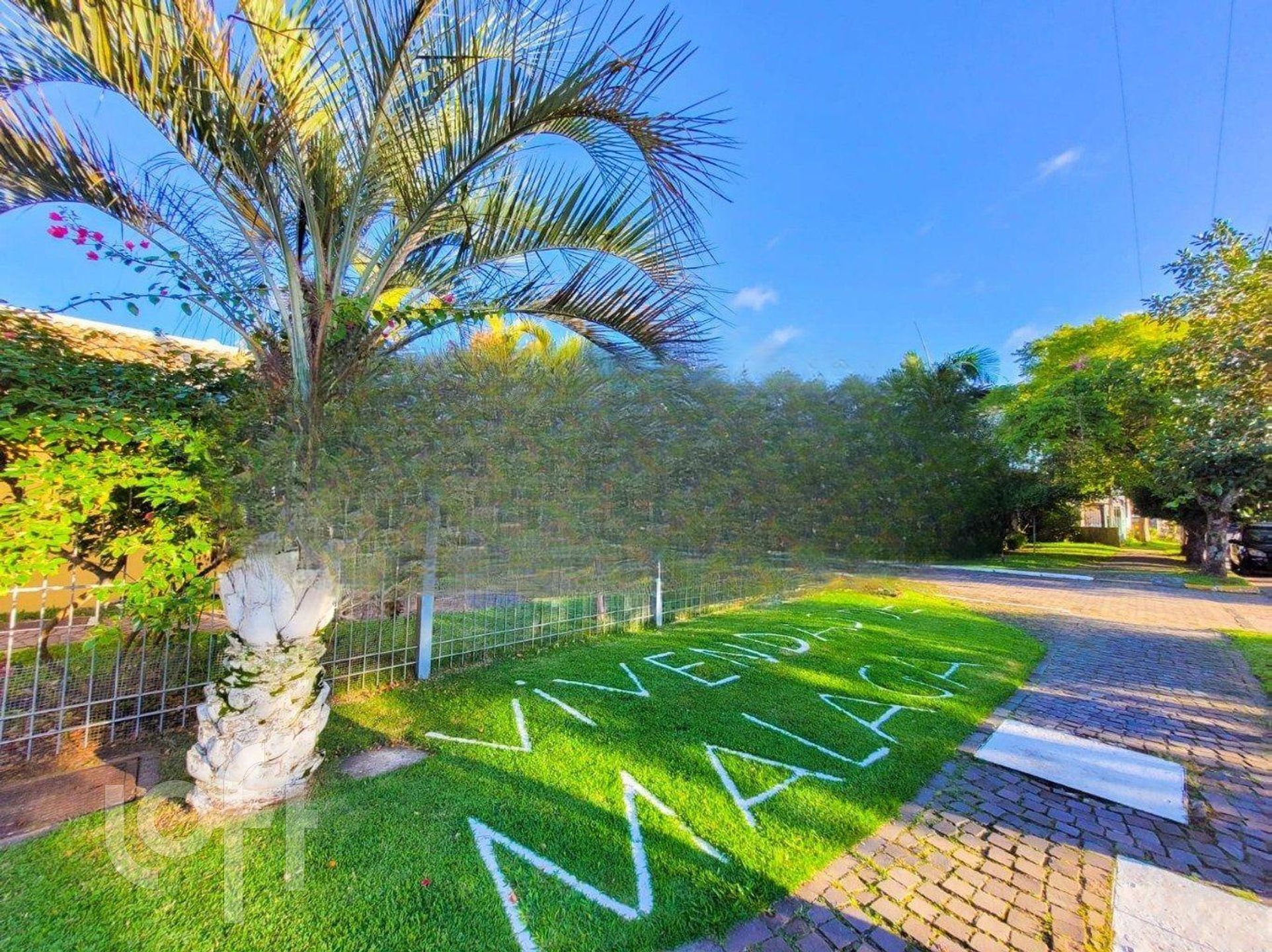 Imagem da propriedade 23