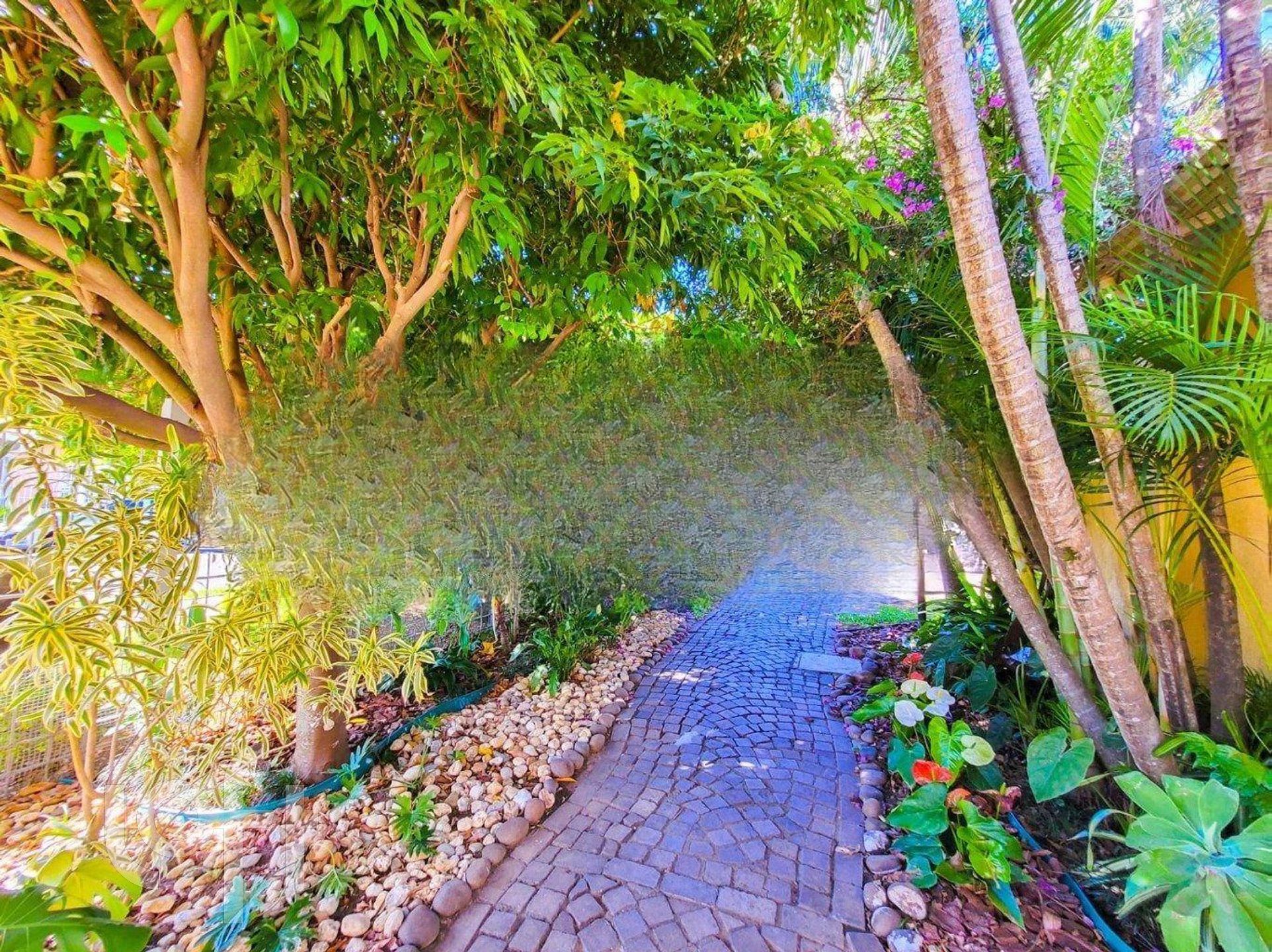 Imagem da propriedade 25