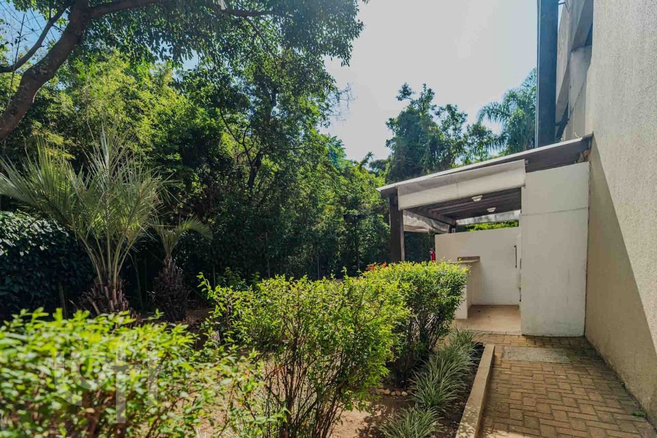 Imagem da propriedade 33