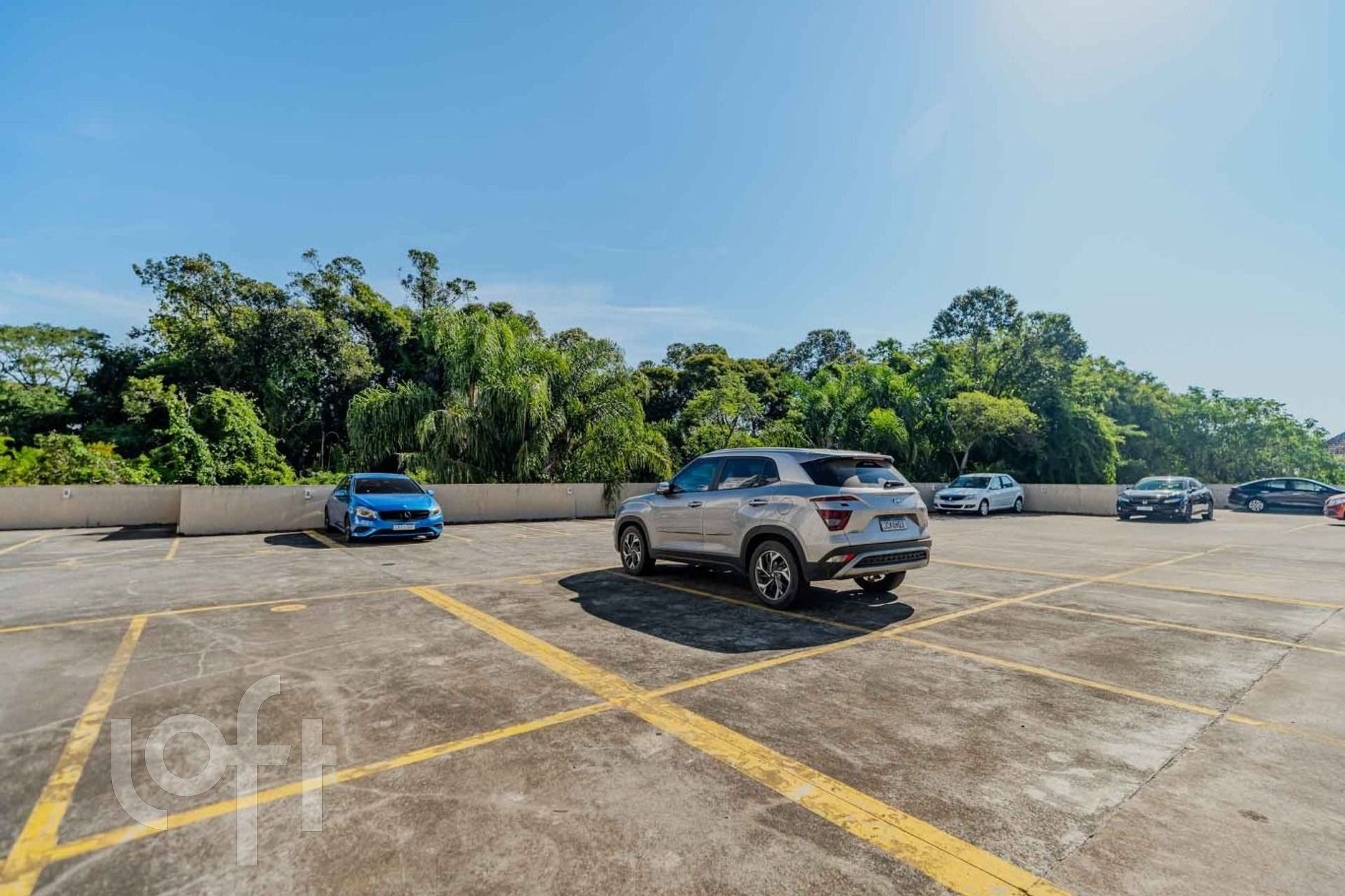 Imagem da propriedade 36