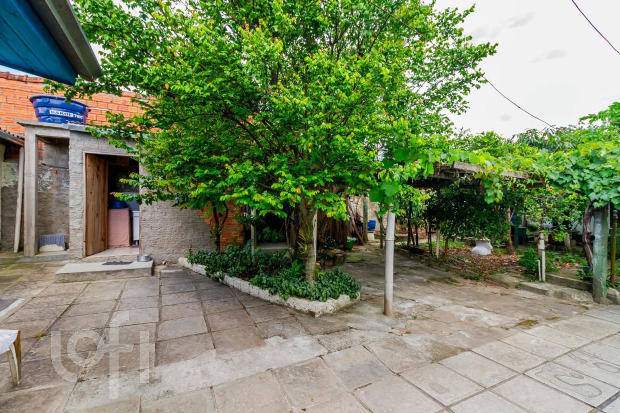 Imagem da propriedade 6