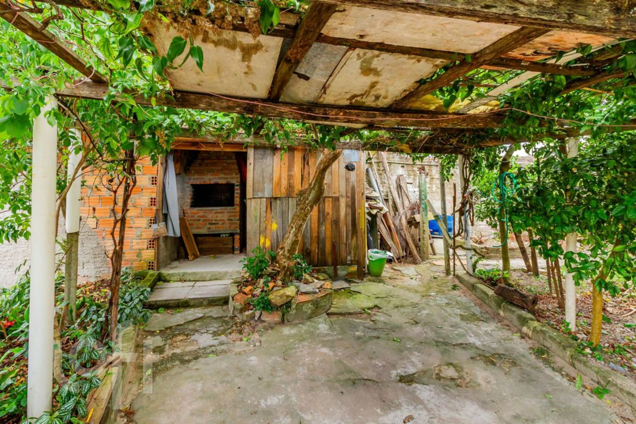 Imagem da propriedade 5