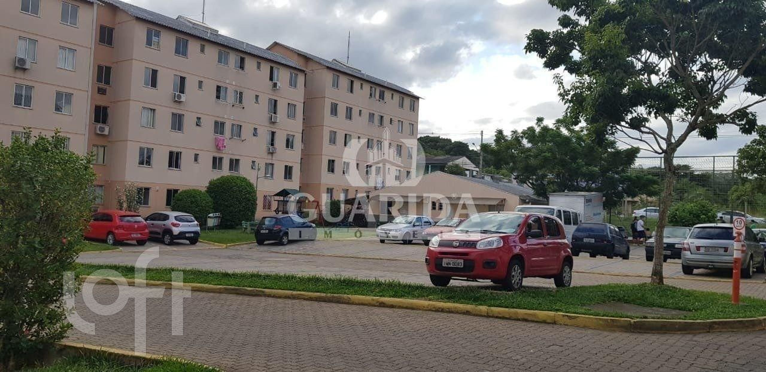 Imagem da propriedade 4