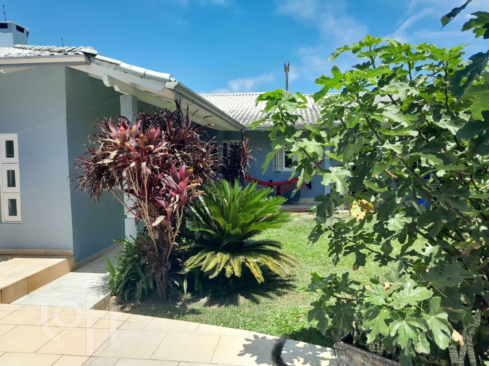 Imagem da propriedade 33