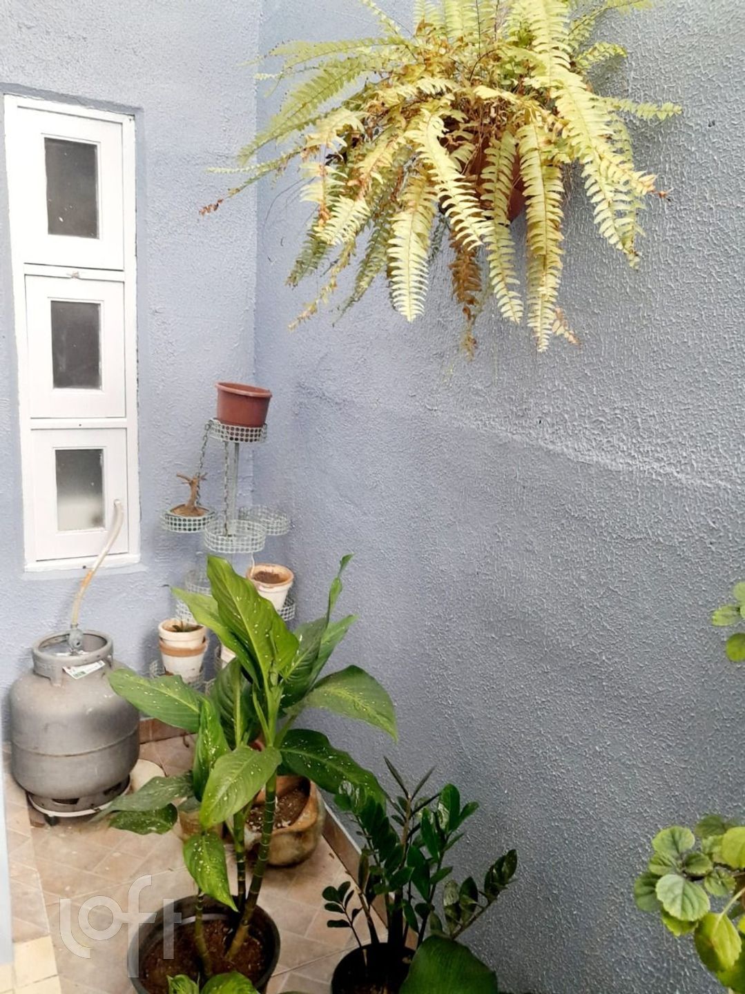 Imagem da propriedade 32