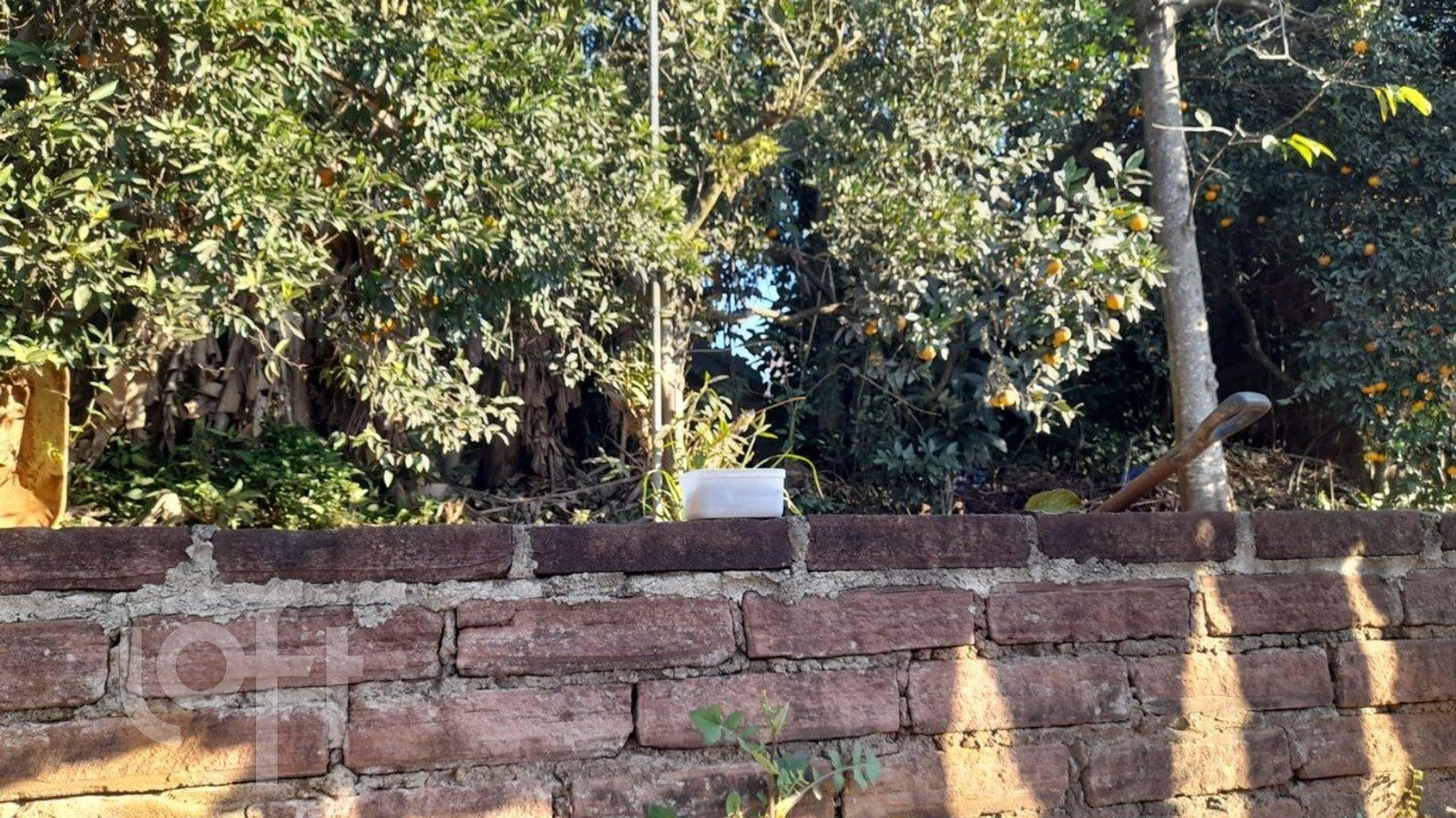 Imagem da propriedade 26