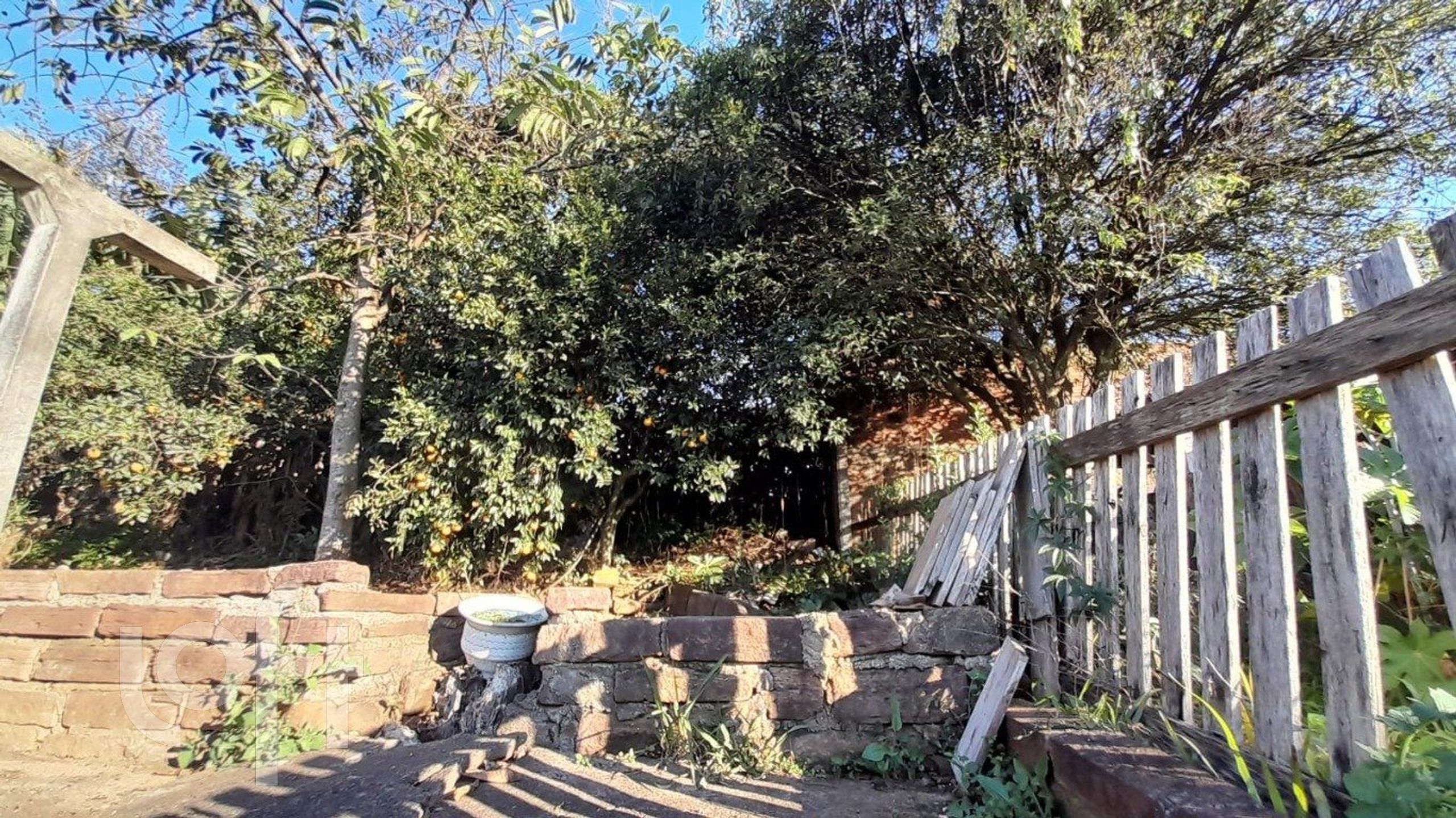 Imagem da propriedade 25