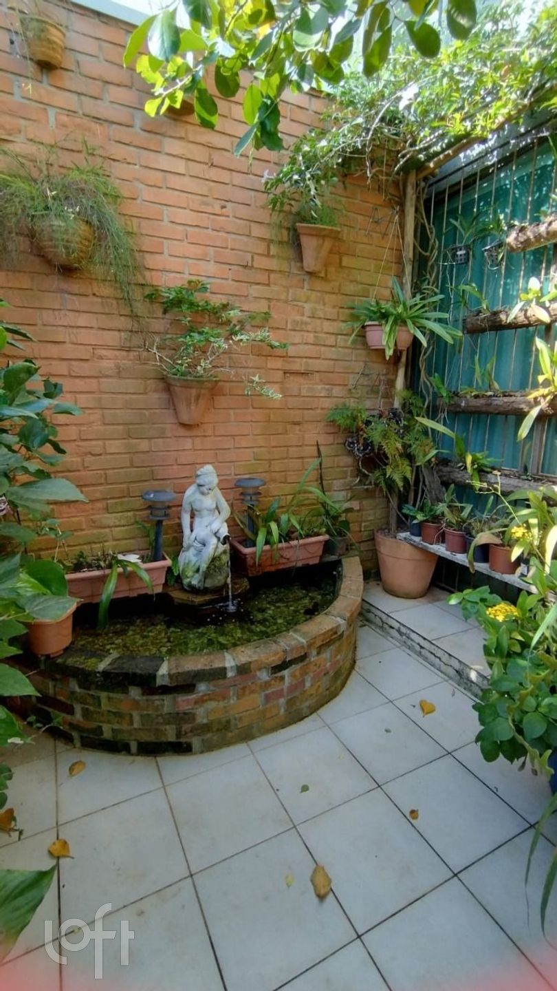 Imagem da propriedade 3