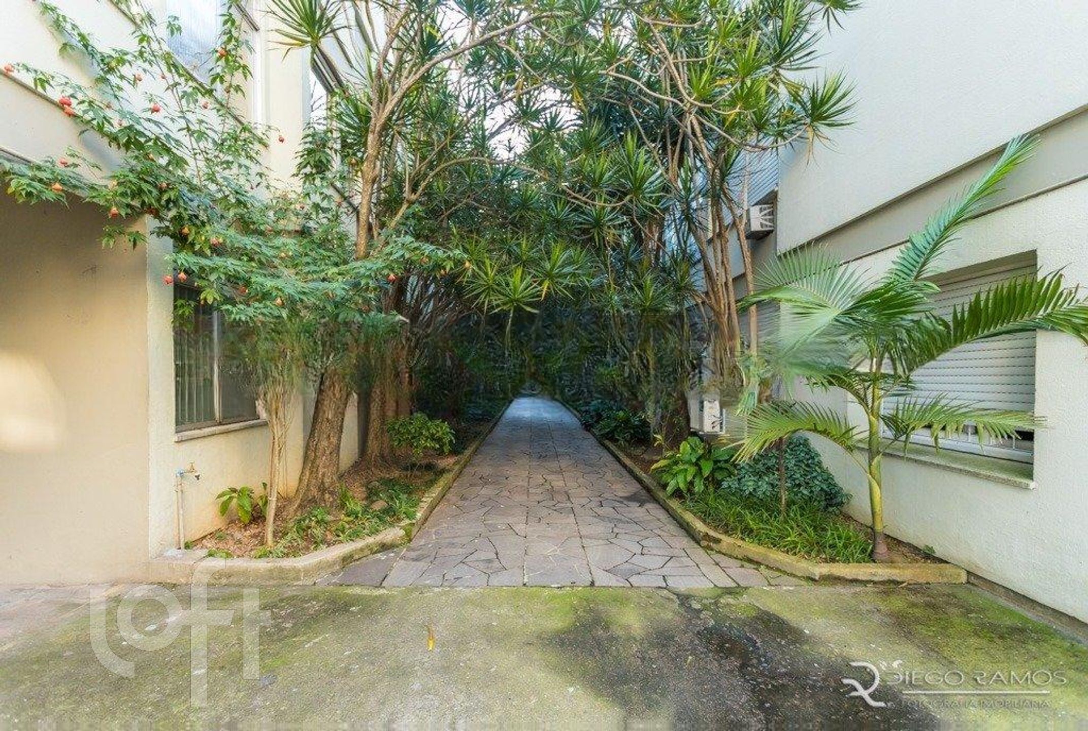 Imagem da propriedade 3