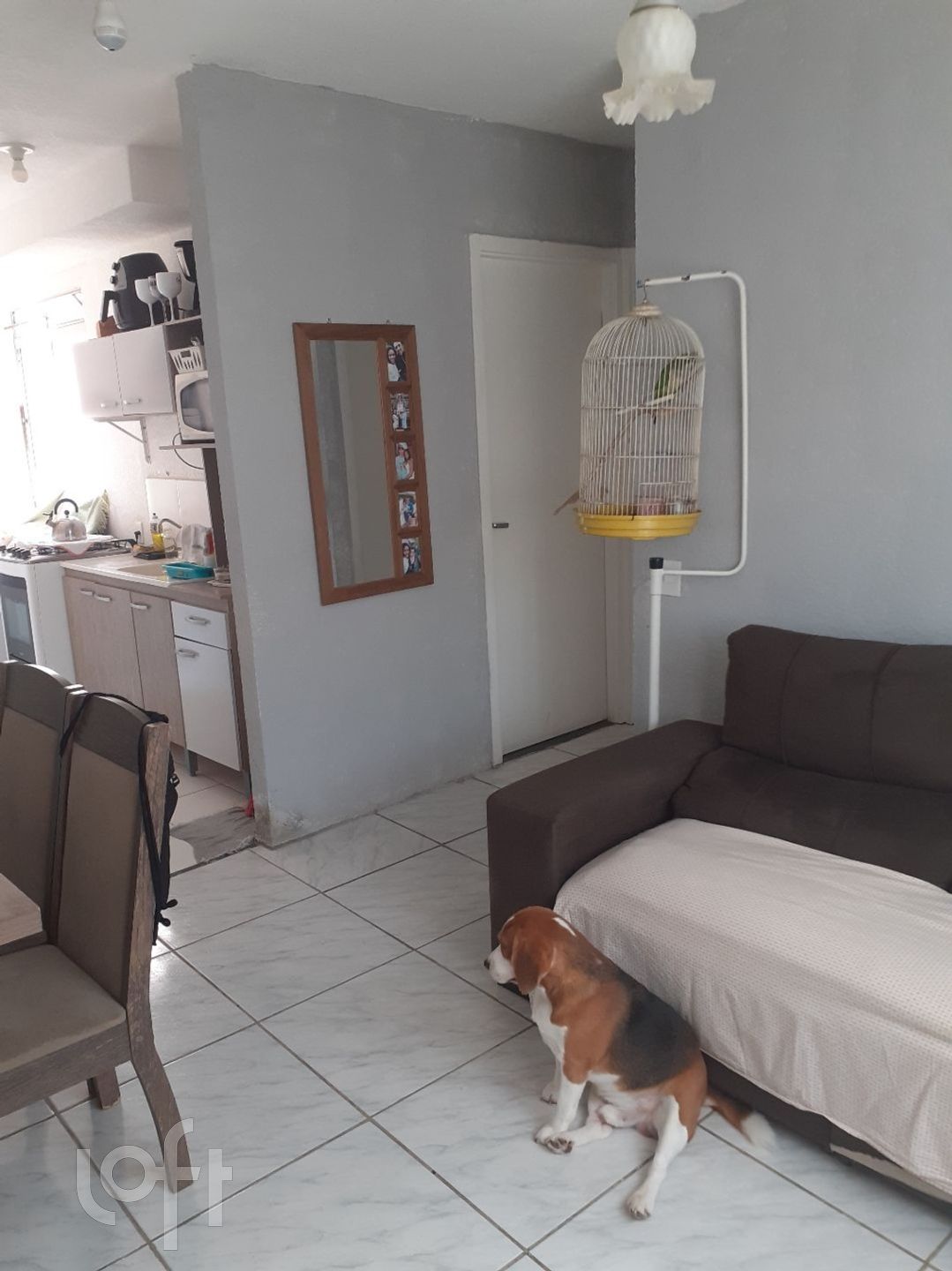 Imagem da propriedade 7