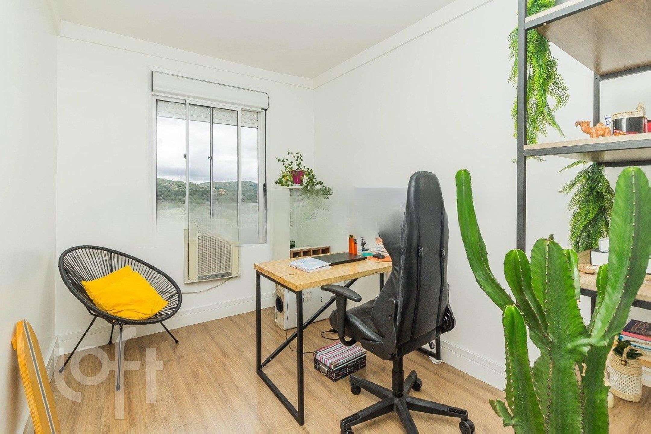 Imagem da propriedade 12