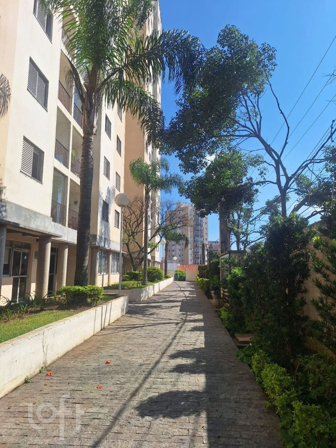 Imagem da propriedade 9