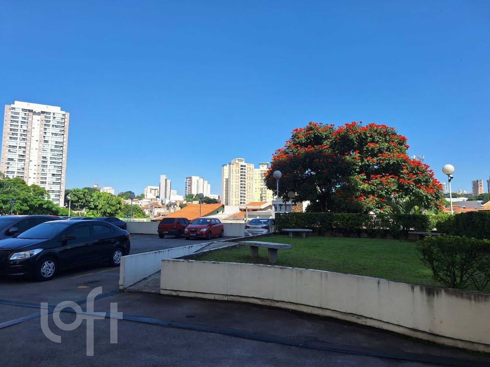 Imagem da propriedade 54
