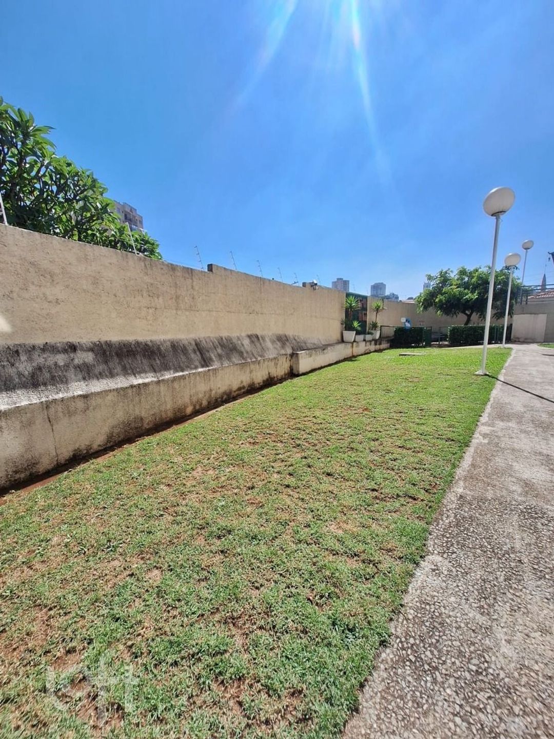 Imagem da propriedade 36