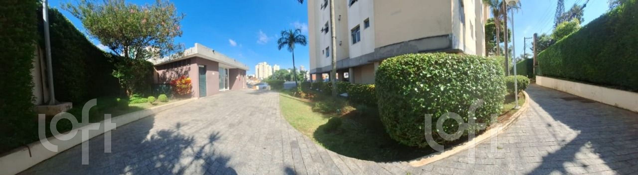 Imagem da propriedade 6