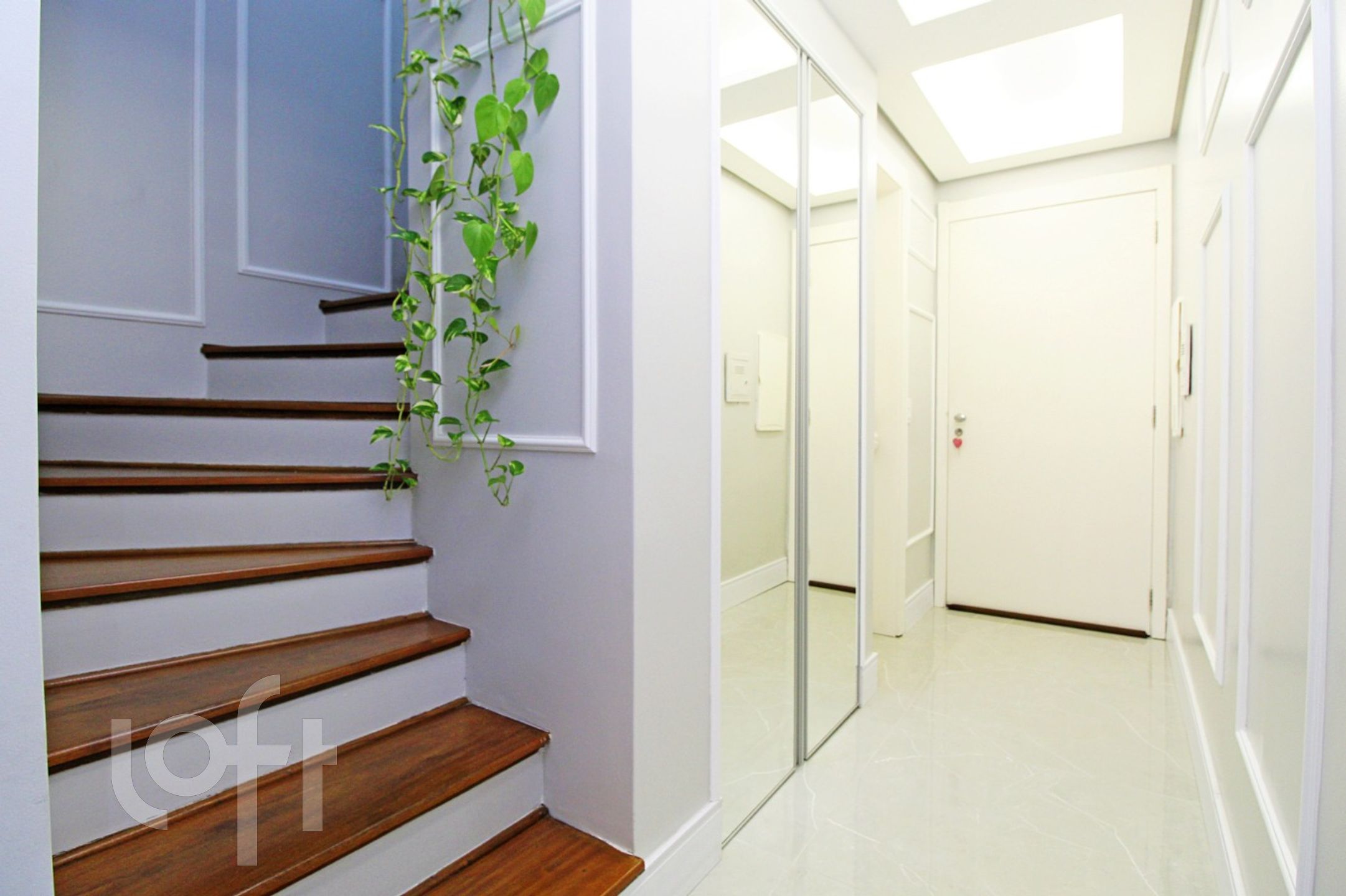 Imagem da propriedade 6