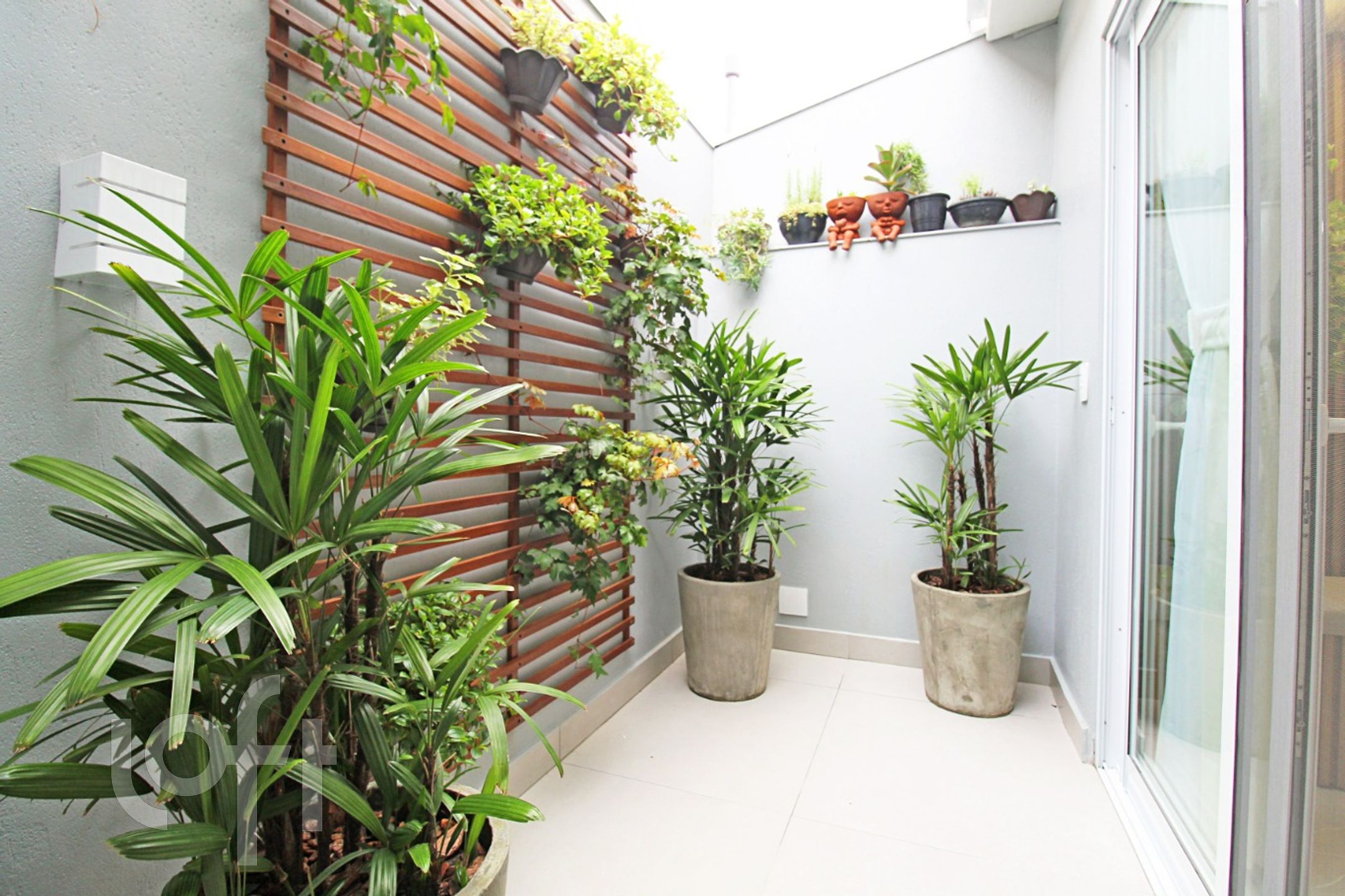 Imagem da propriedade 4