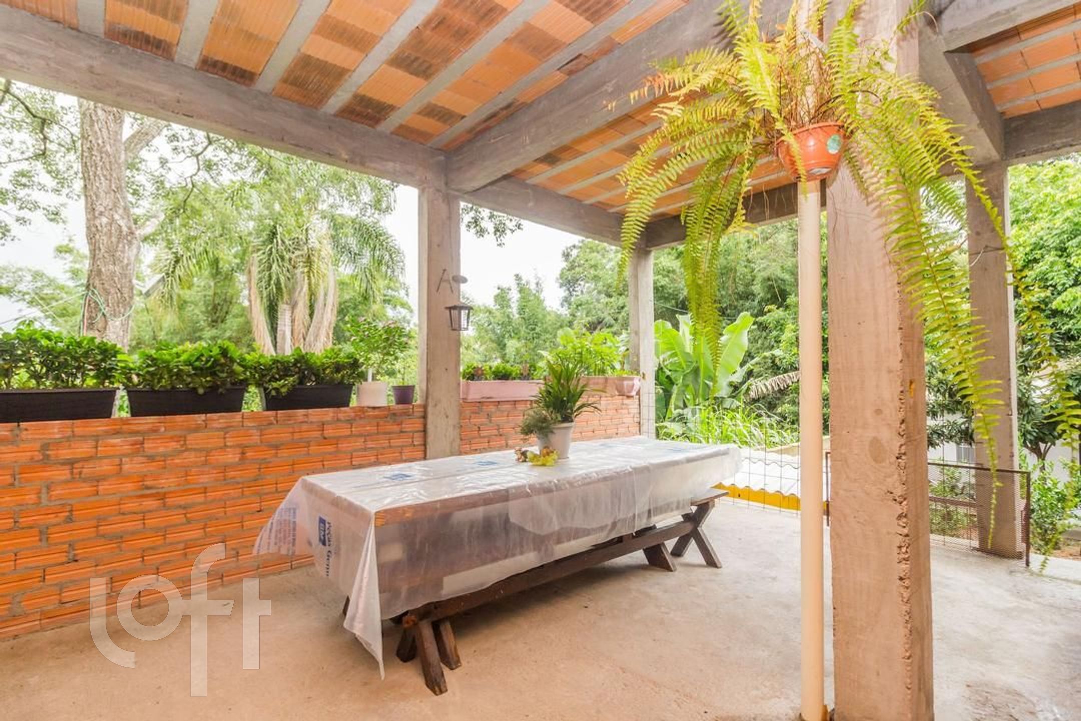 Imagem da propriedade 31