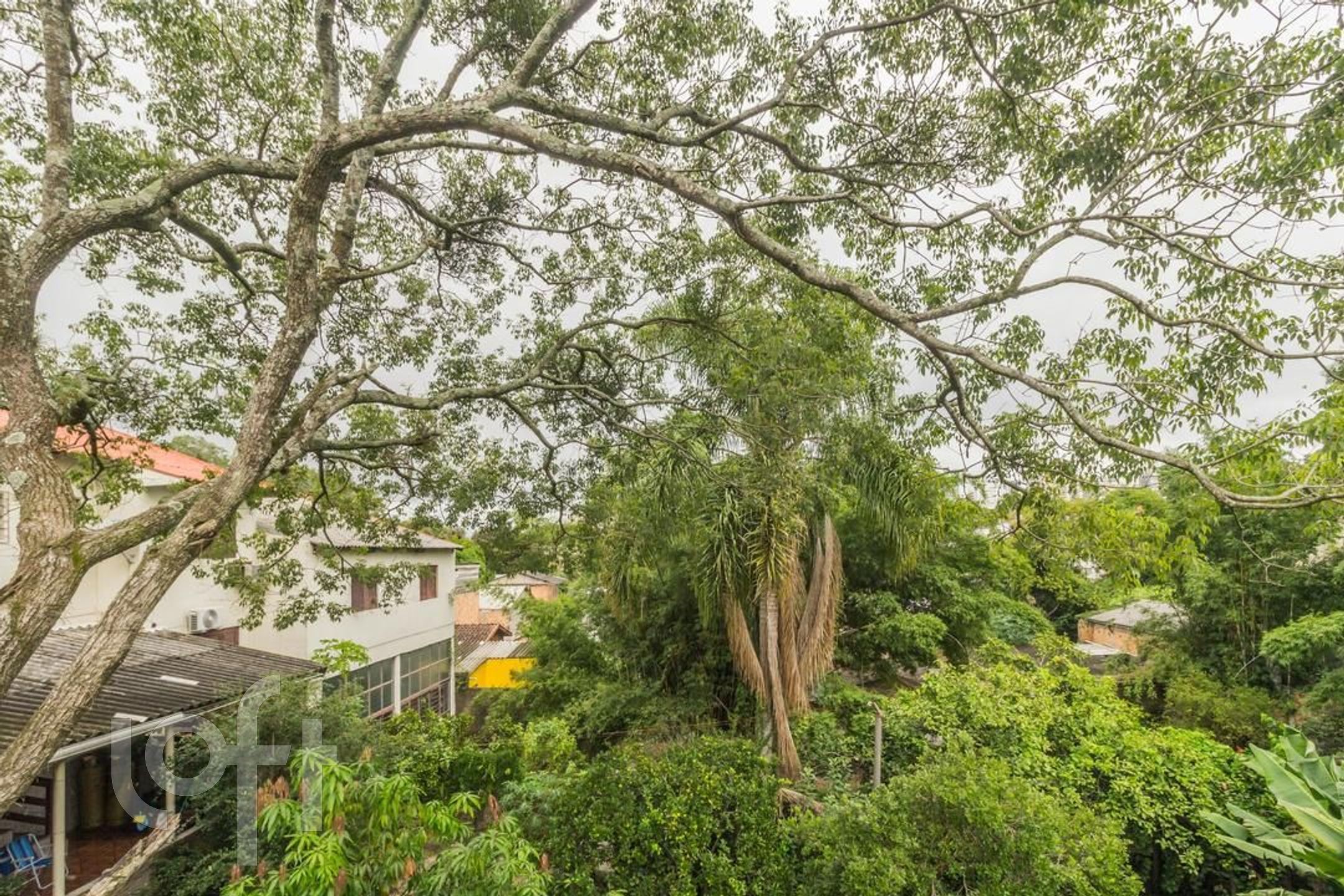 Imagem da propriedade 24