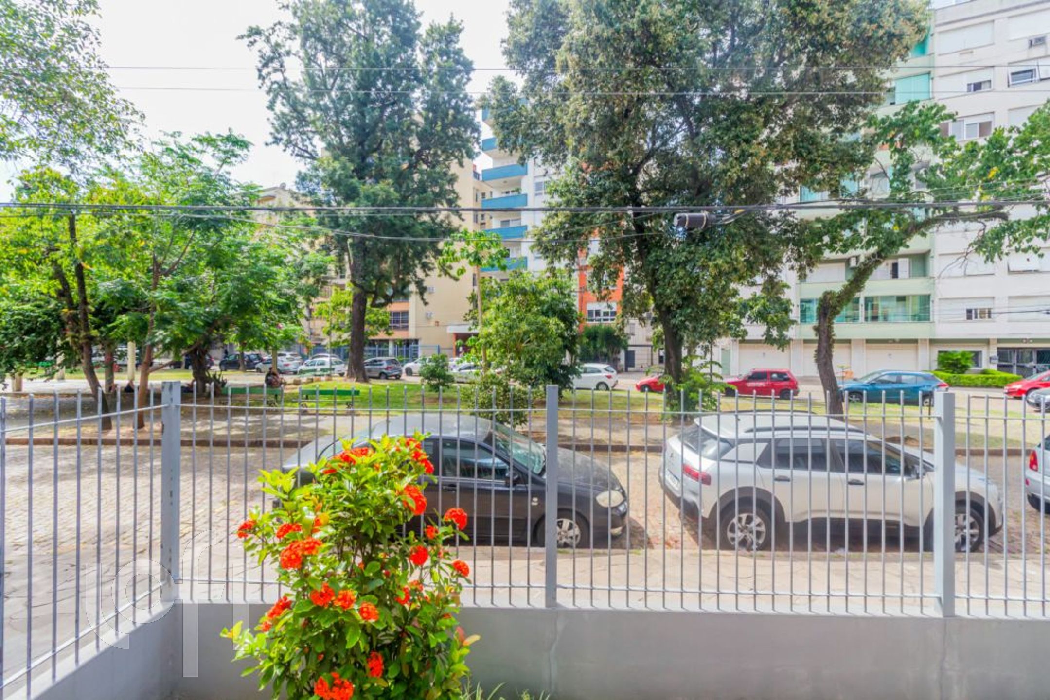 Imagem da propriedade 3