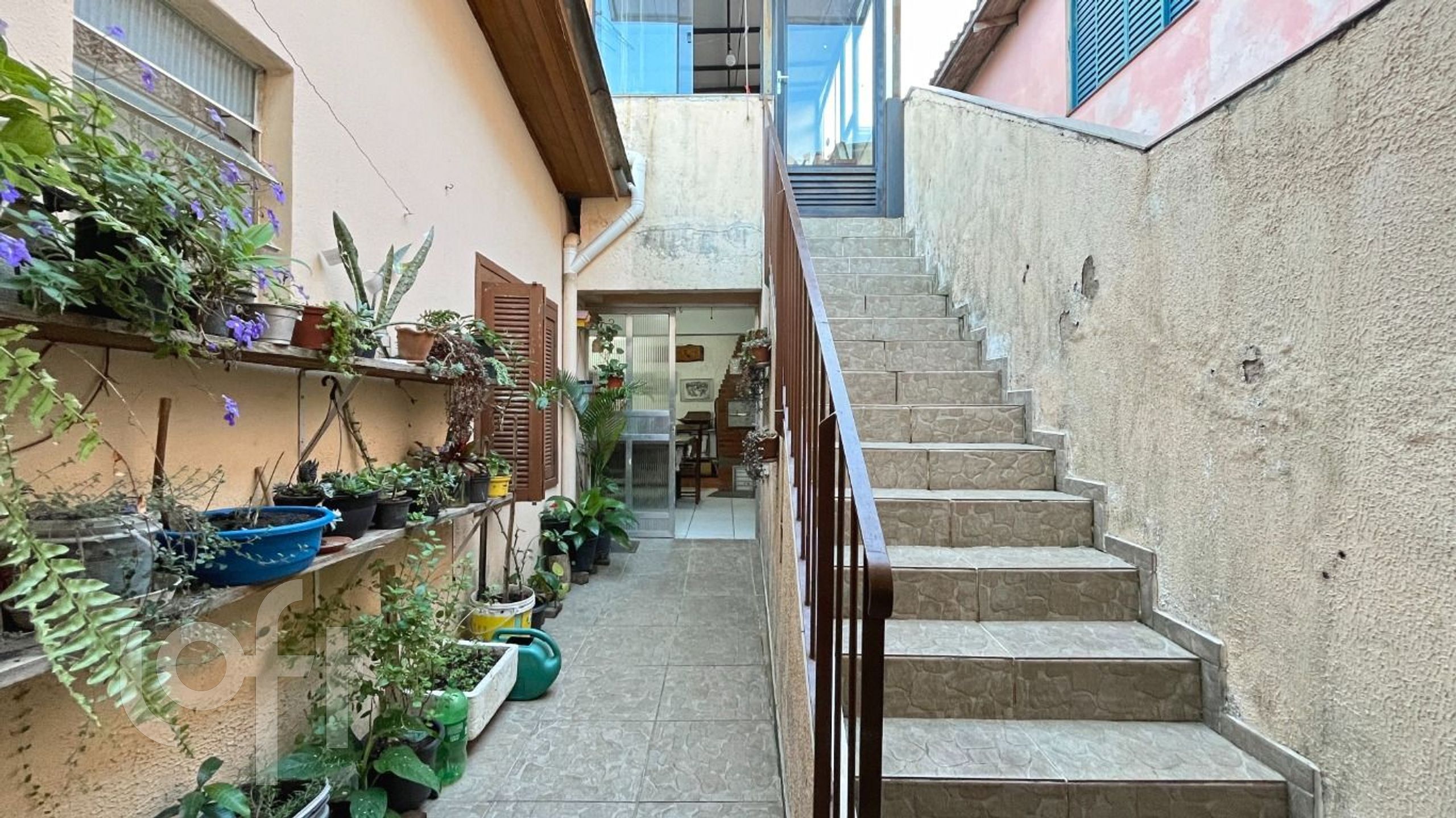 Imagem da propriedade 10