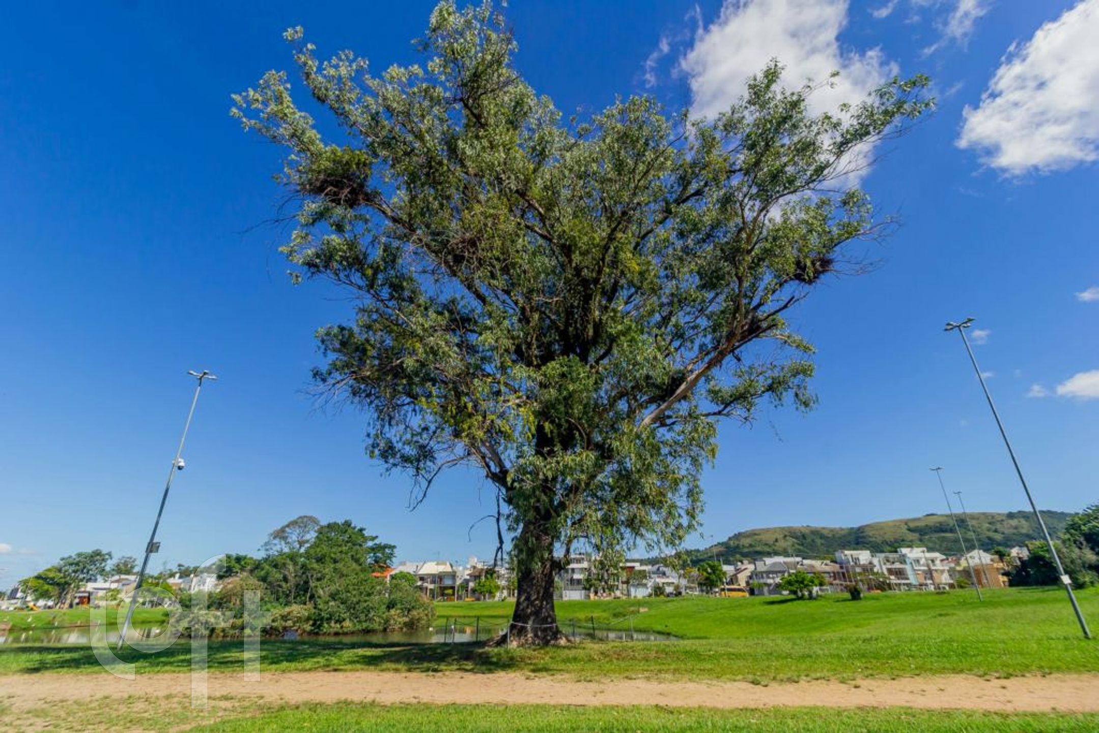 Imagem da propriedade 44