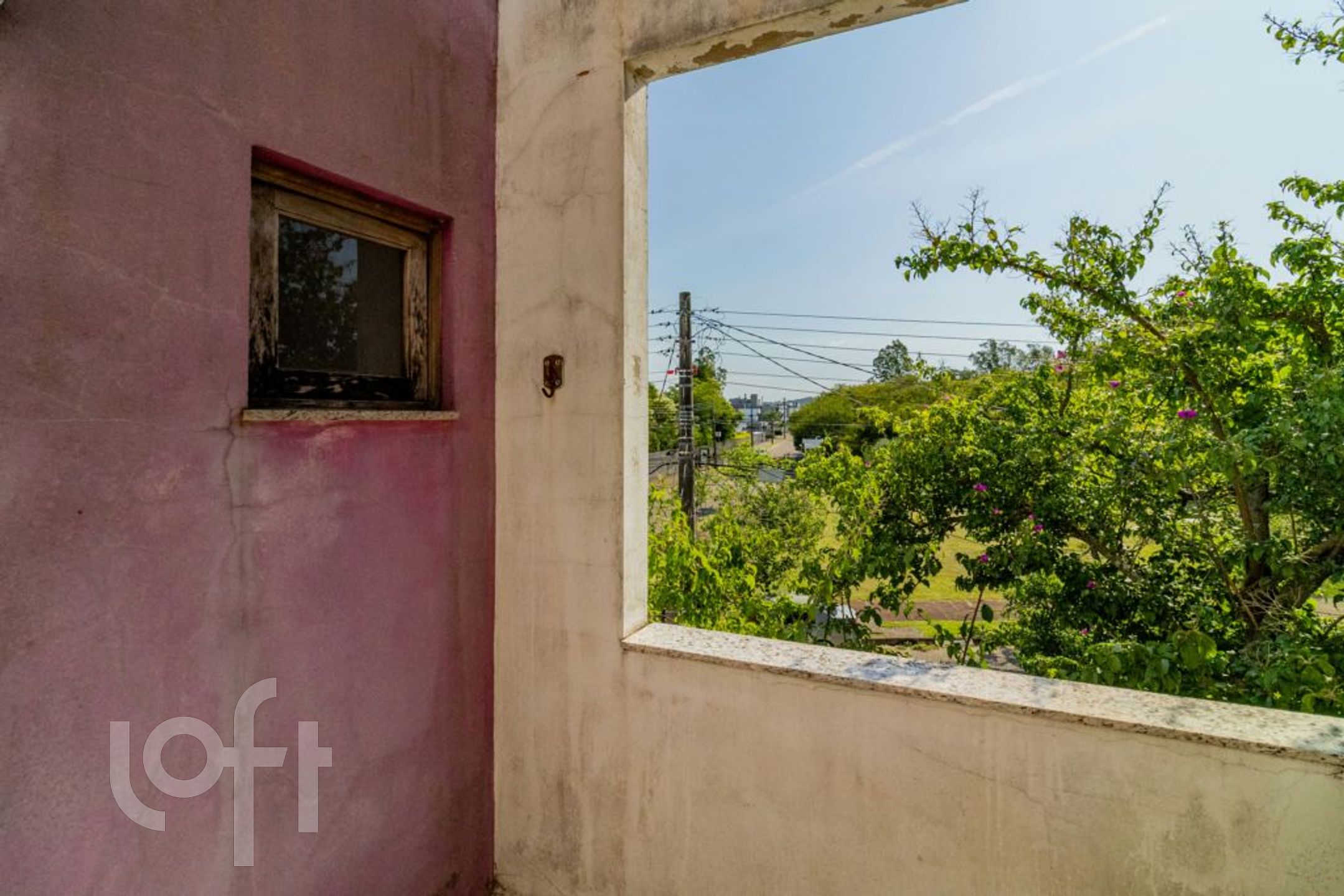 Imagem da propriedade 19