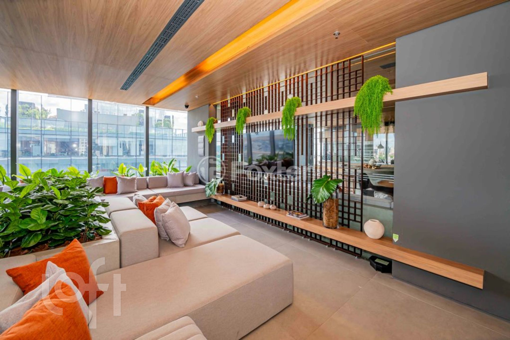 Imagem da propriedade 32