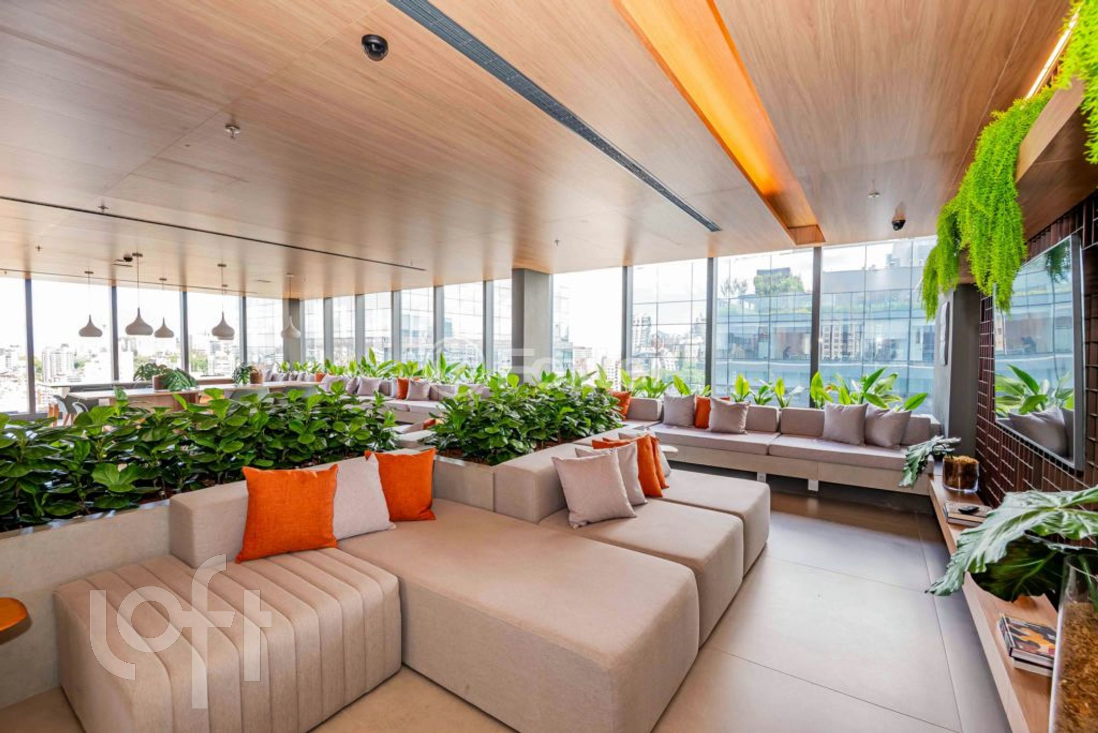 Imagem da propriedade 33